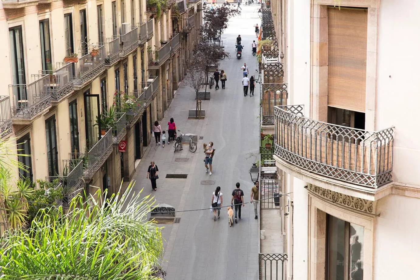 Street view in Eco Boutique Hostal Grau