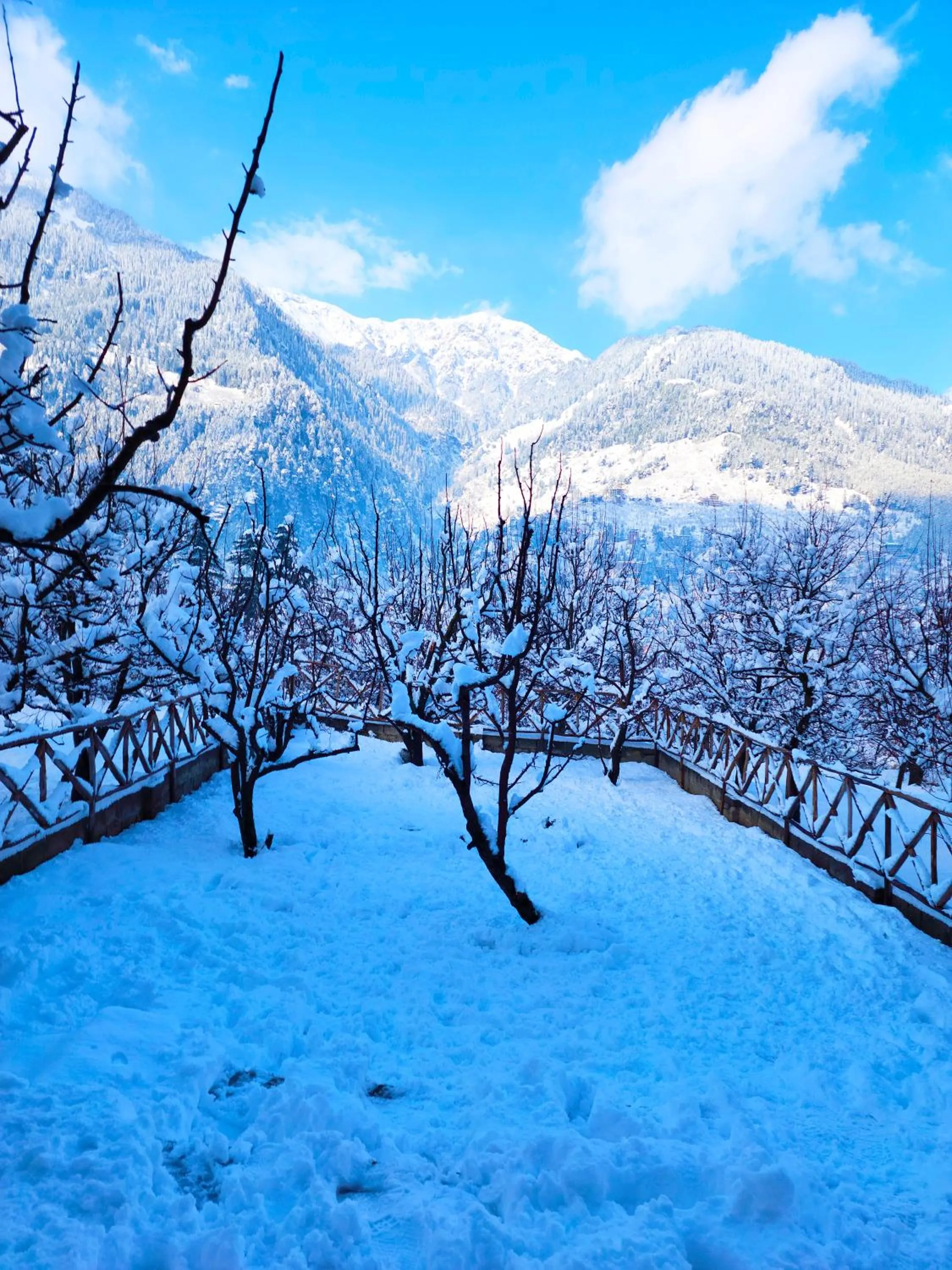 Garden in Hotel Marina Heights