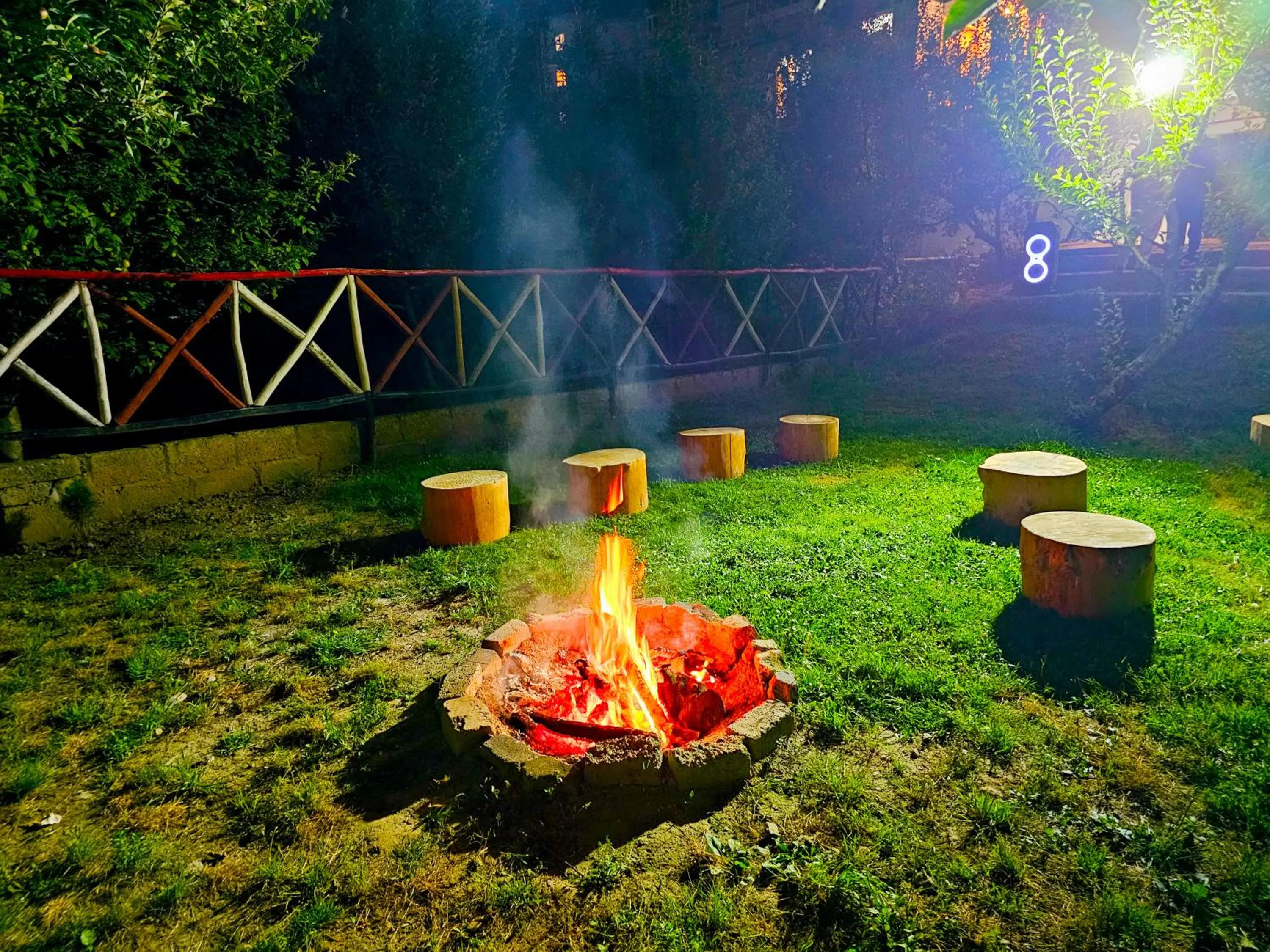 Garden in Hotel Marina Heights