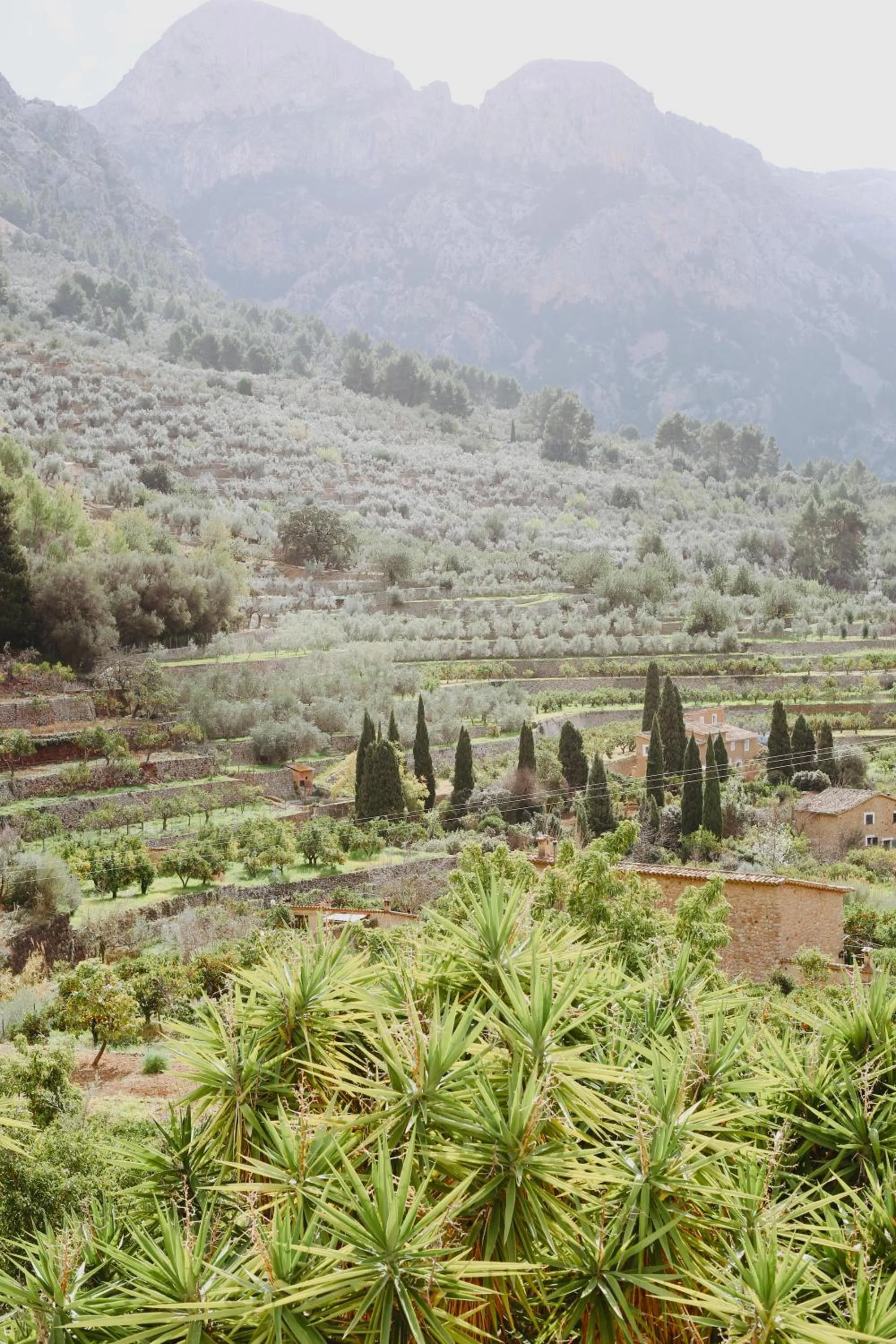 Fornalutx Petit Hotel - Bed & Breakfast