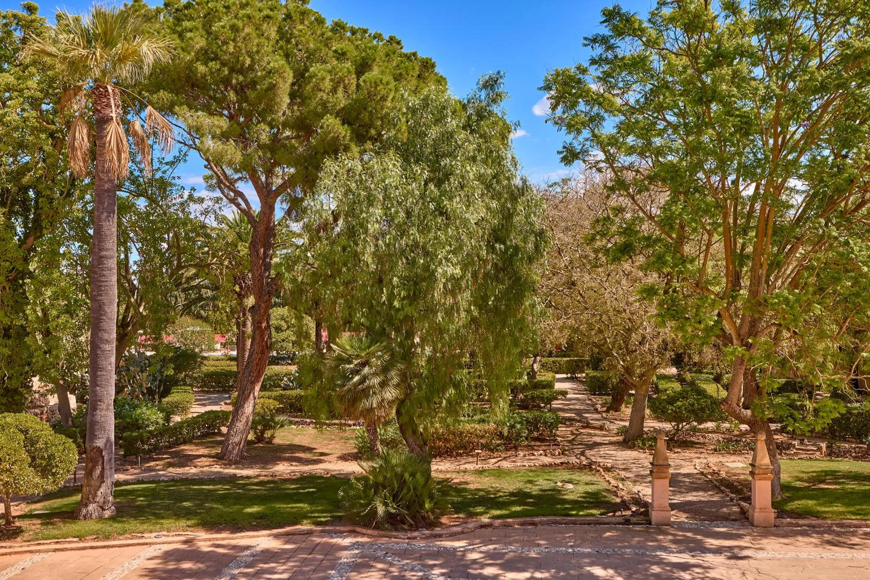 View (from property/room) in Son Julia Country House & Spa