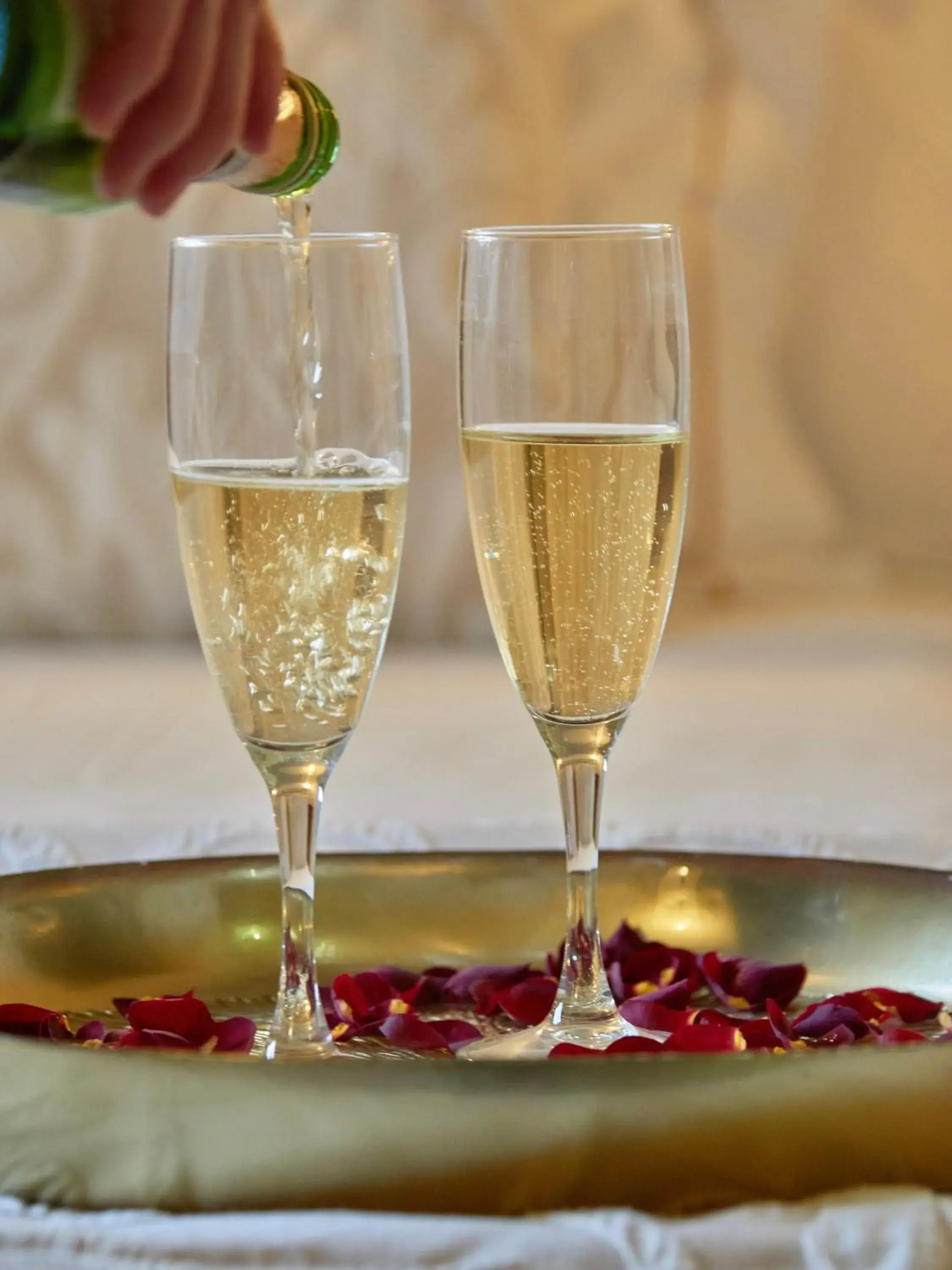 Food and drinks in Son Sant Jordi Food and drinks in Son Sant Jordi