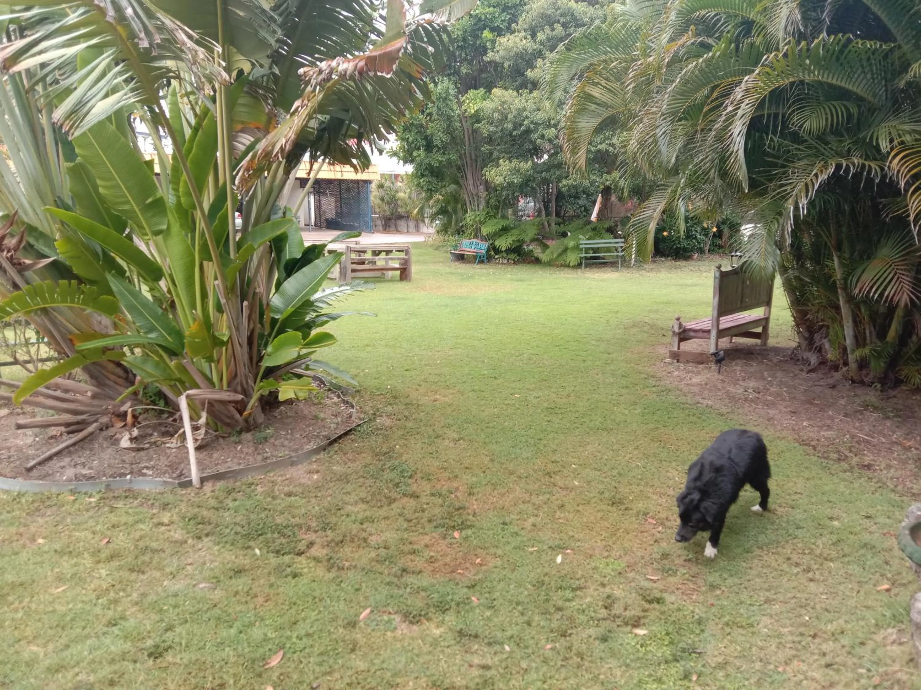 Bargara Beach Motor Inn budget accommodation pet friendly on application