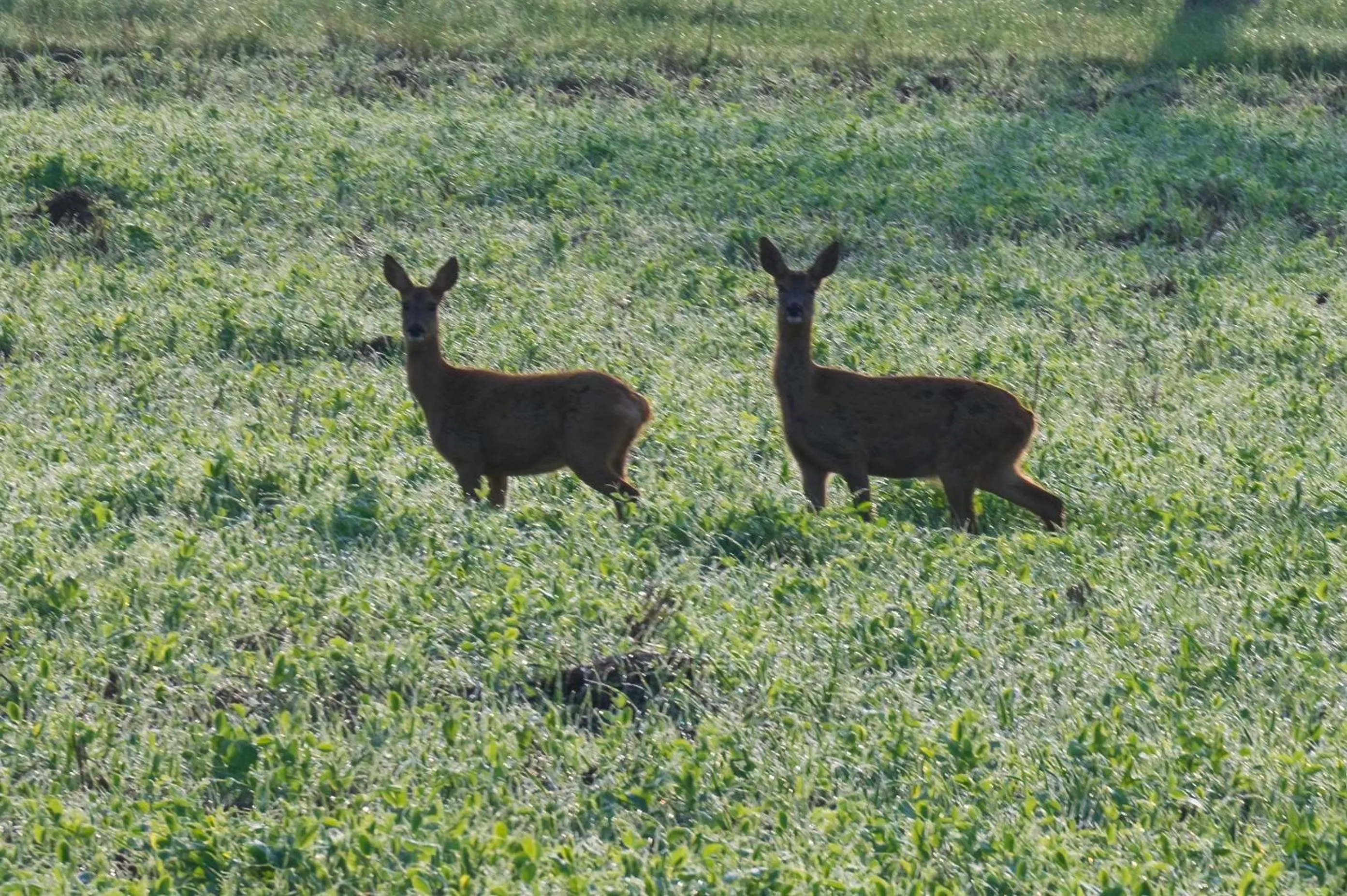 Hiking in Landhotel Lortz