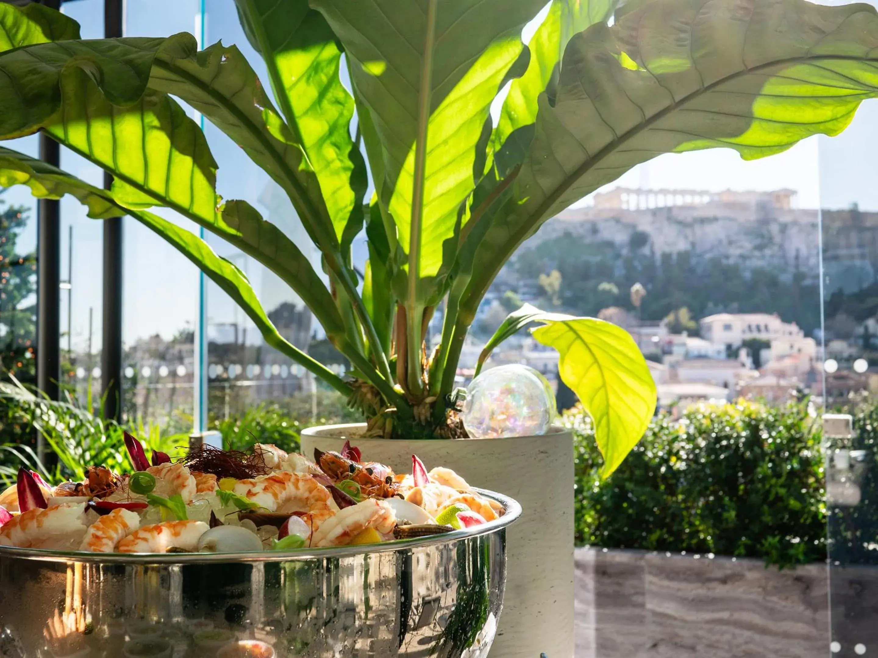 Restaurant/places to eat in The Dolli at Acropolis, A Hotel to Live Restaurant/places to eat in The Dolli at Acropolis, A Hotel to Live