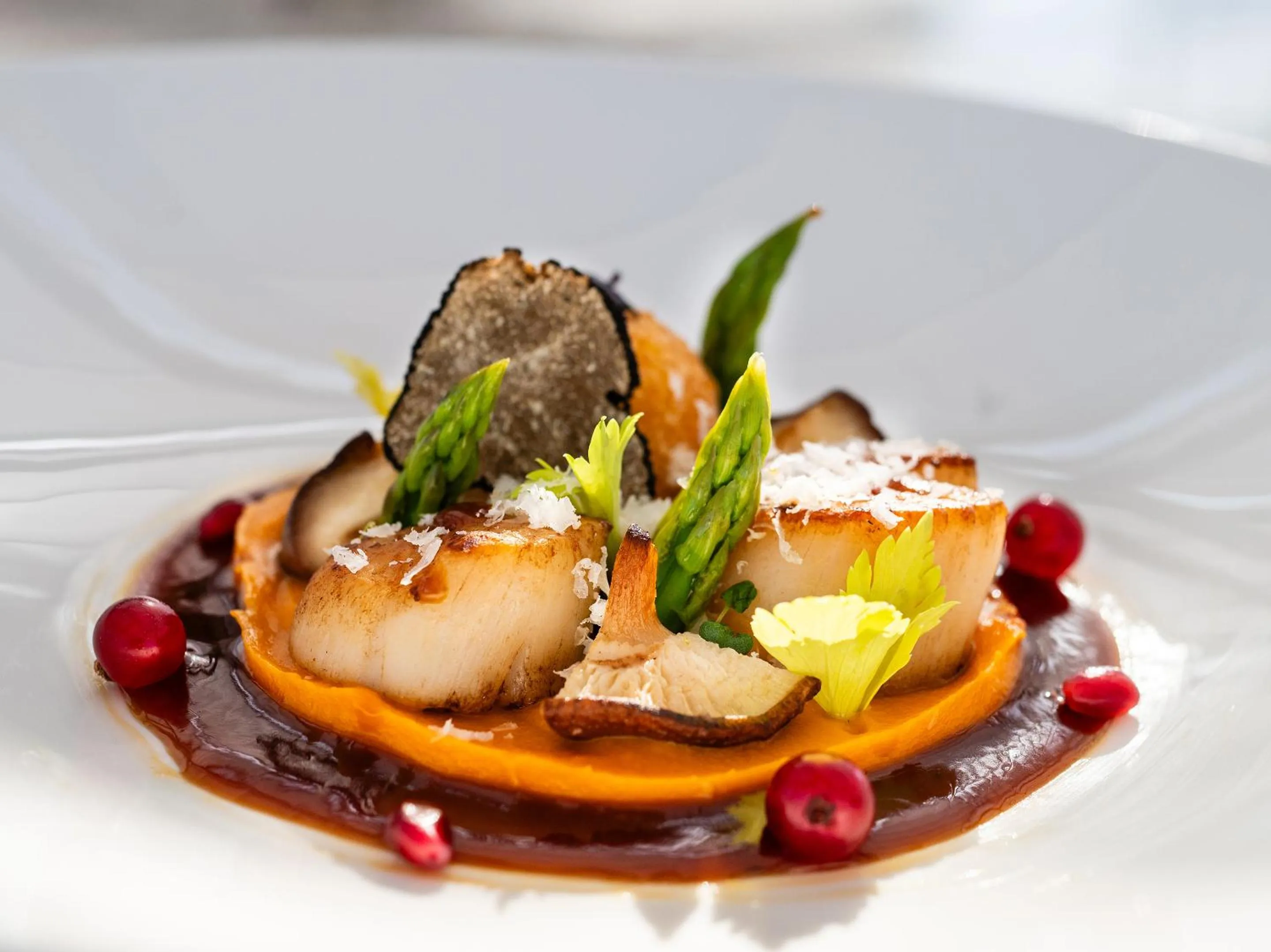 Diving in The Dolli at Acropolis, A Hotel to Live