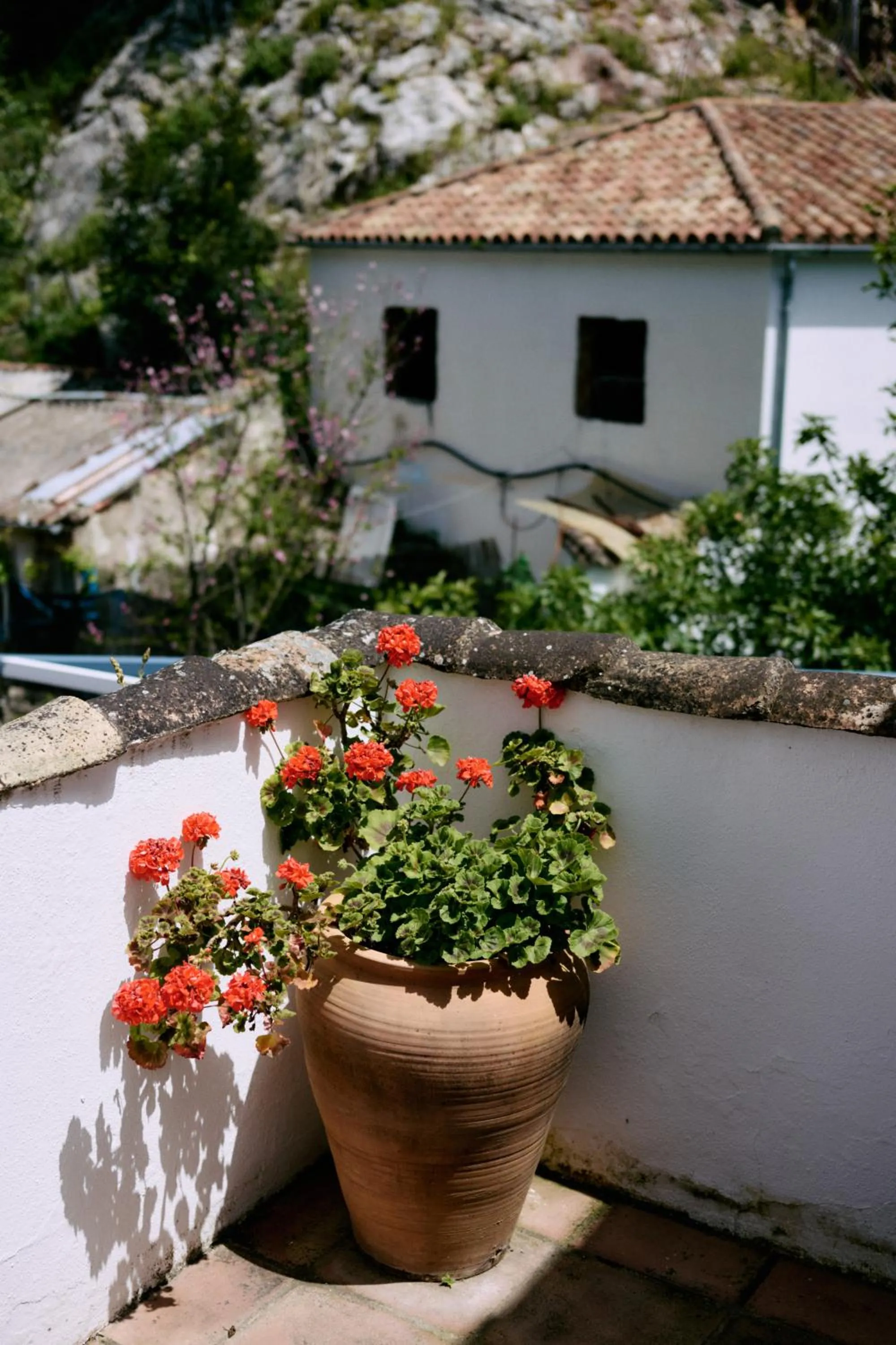 Property building in Molino Del Santo