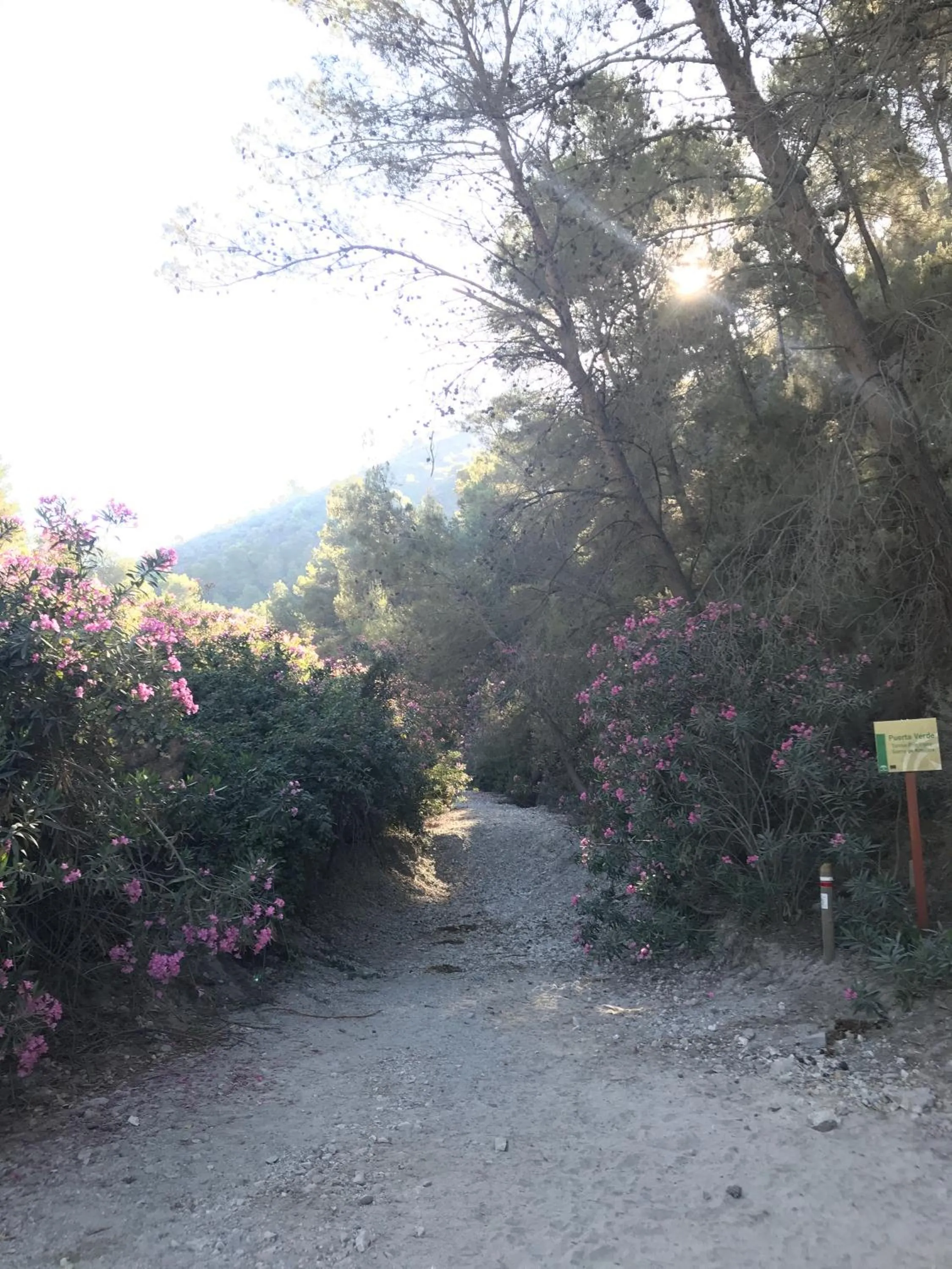 Property building in The Lost Village El Acebuchal