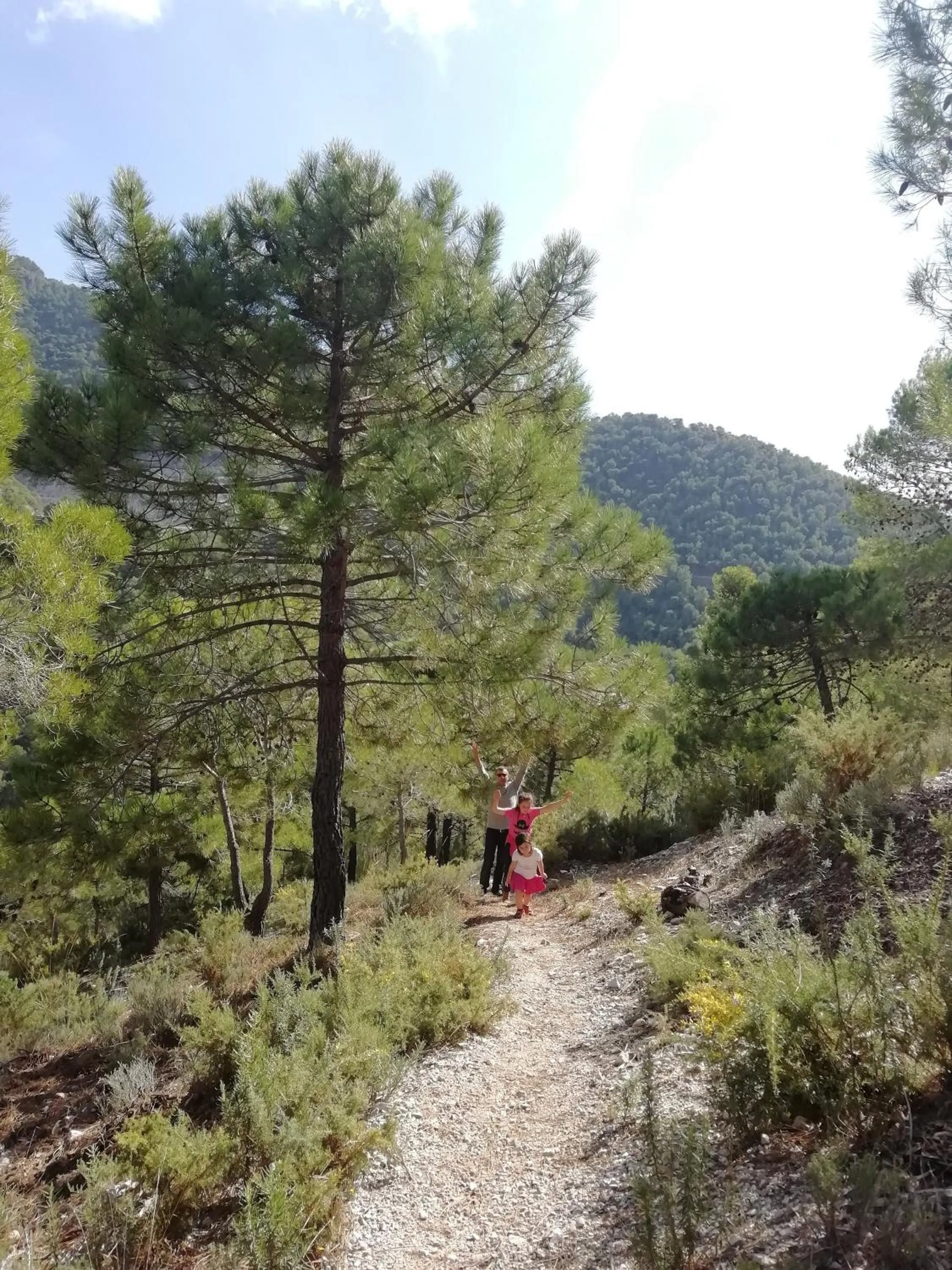Property building in The Lost Village El Acebuchal