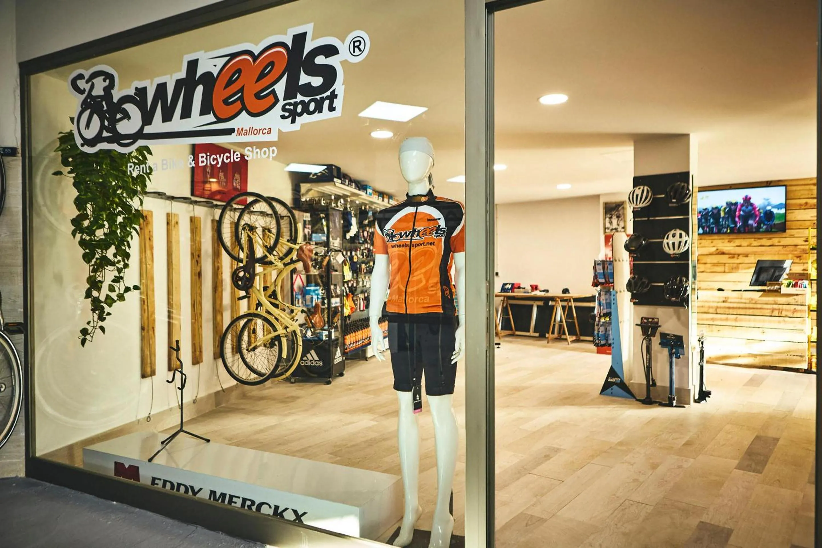 Activities in Zafiro Tropic