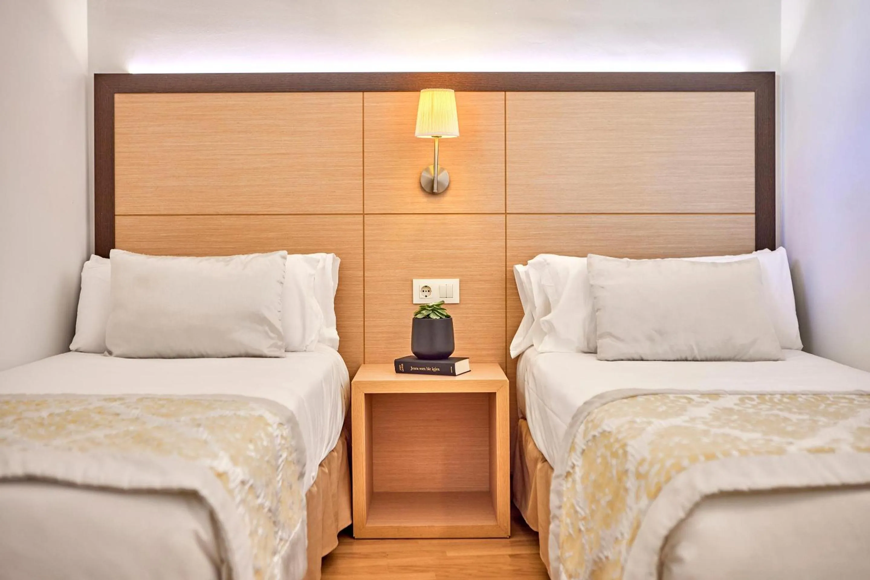 Photo of the whole room, Bed in Zafiro Tropic