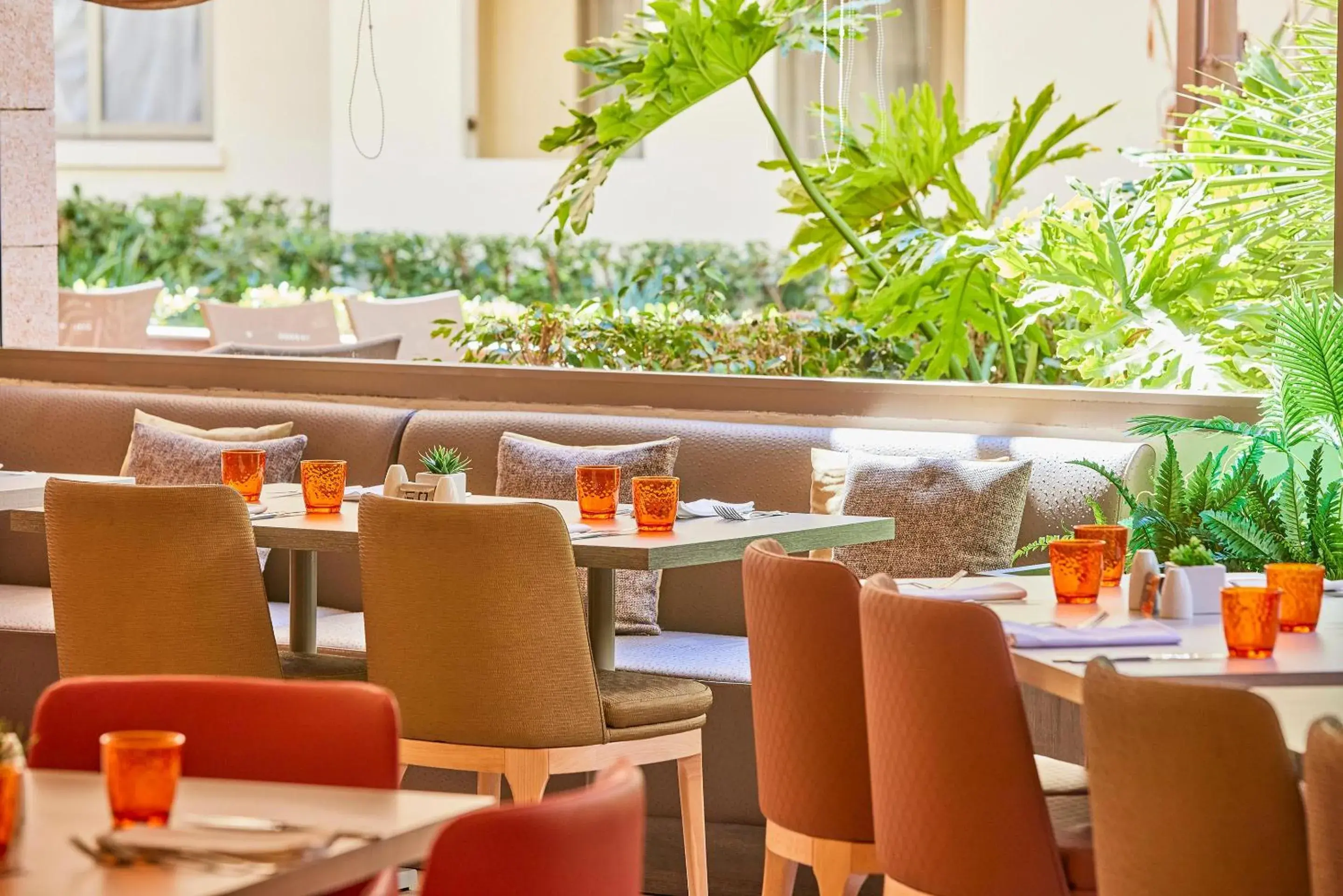 Restaurant/places to eat in Zafiro Tropic Restaurant/places to eat in Zafiro Tropic