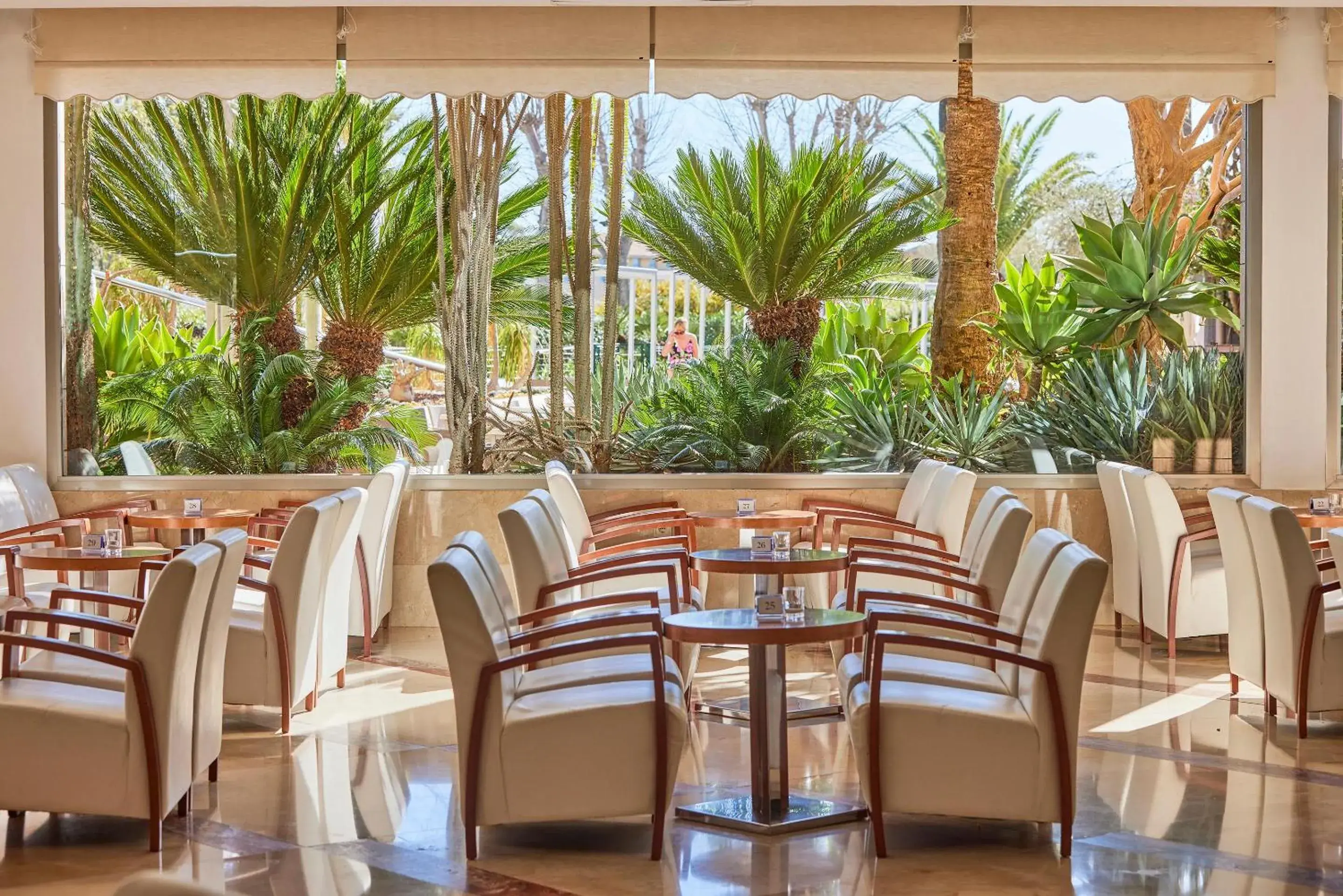 Meeting/conference room in Zafiro Tropic Meeting/conference room in Zafiro Tropic