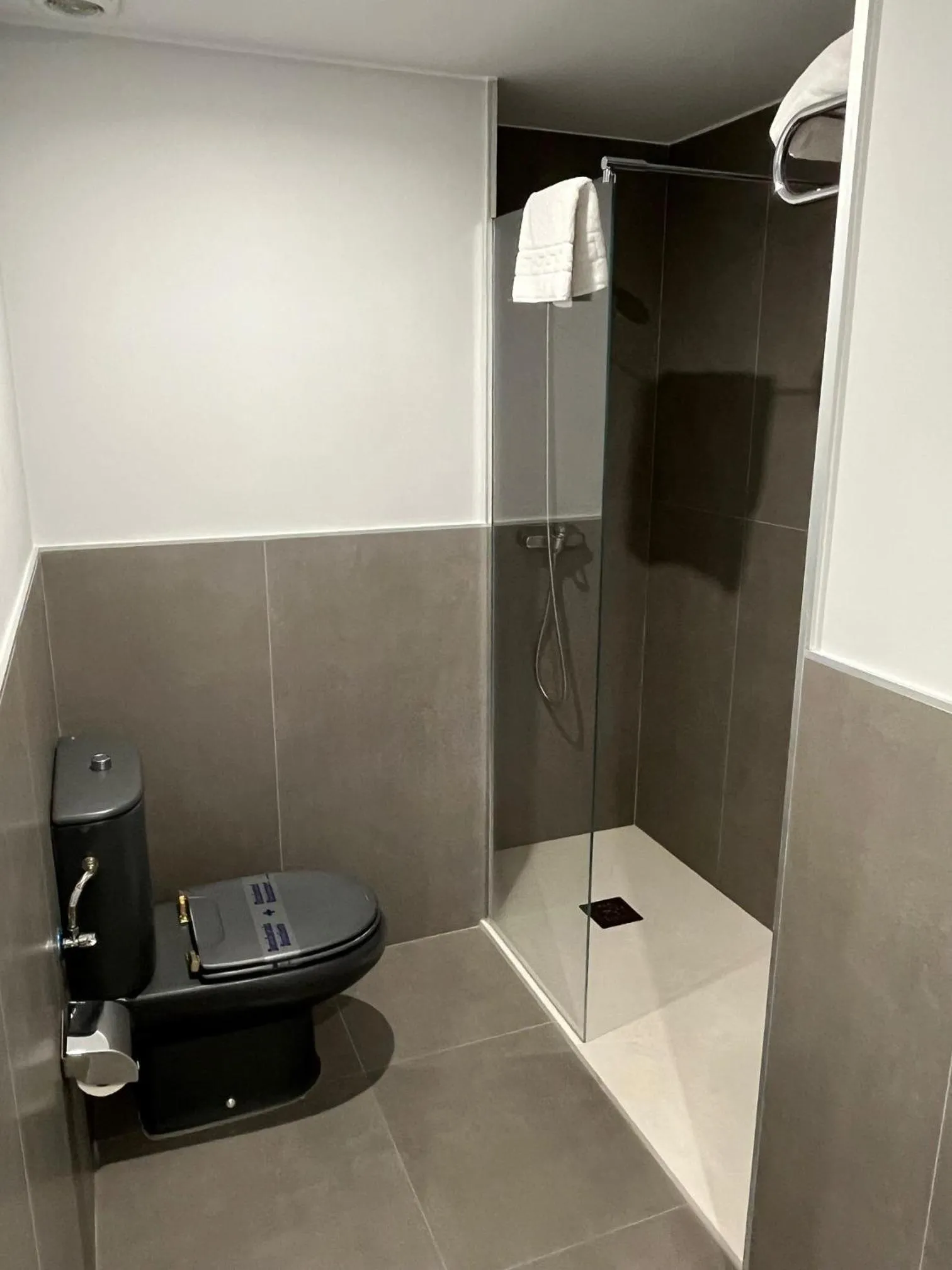 Shower in Hotel Gran Regente