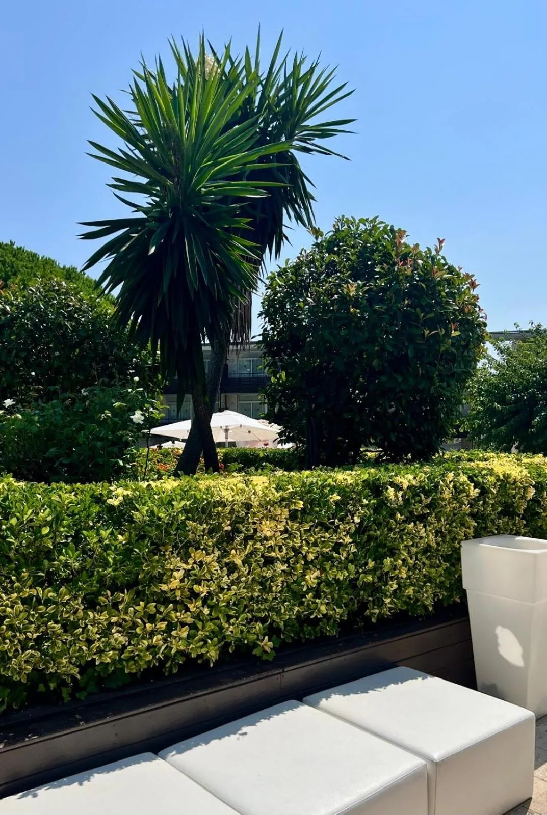 Property building in Aparthotel Comtat Sant Jordi