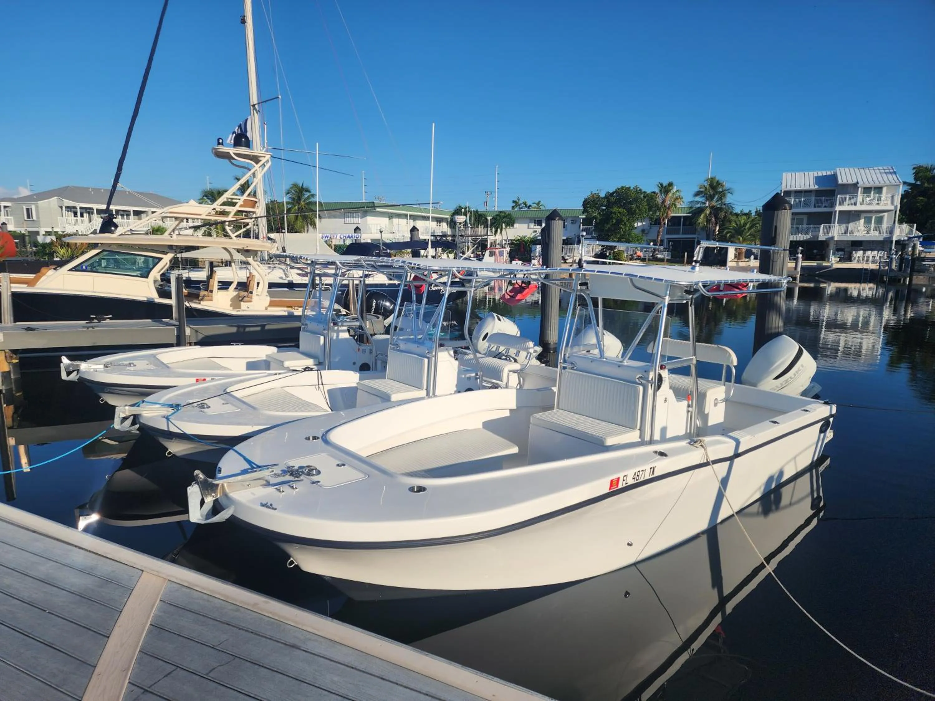 Activities in Yacht Haven