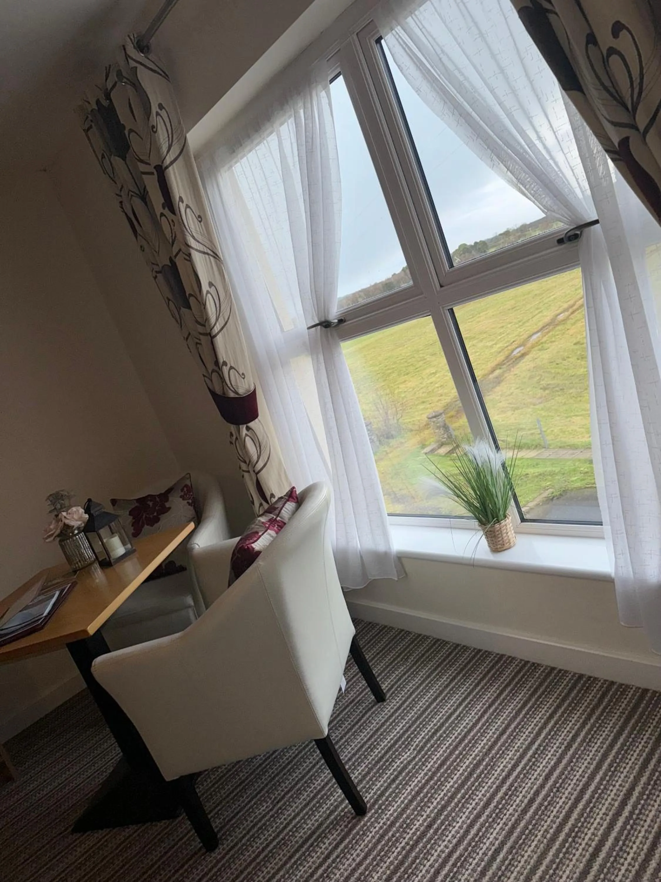 View (from property/room) in The Hedges Hotel