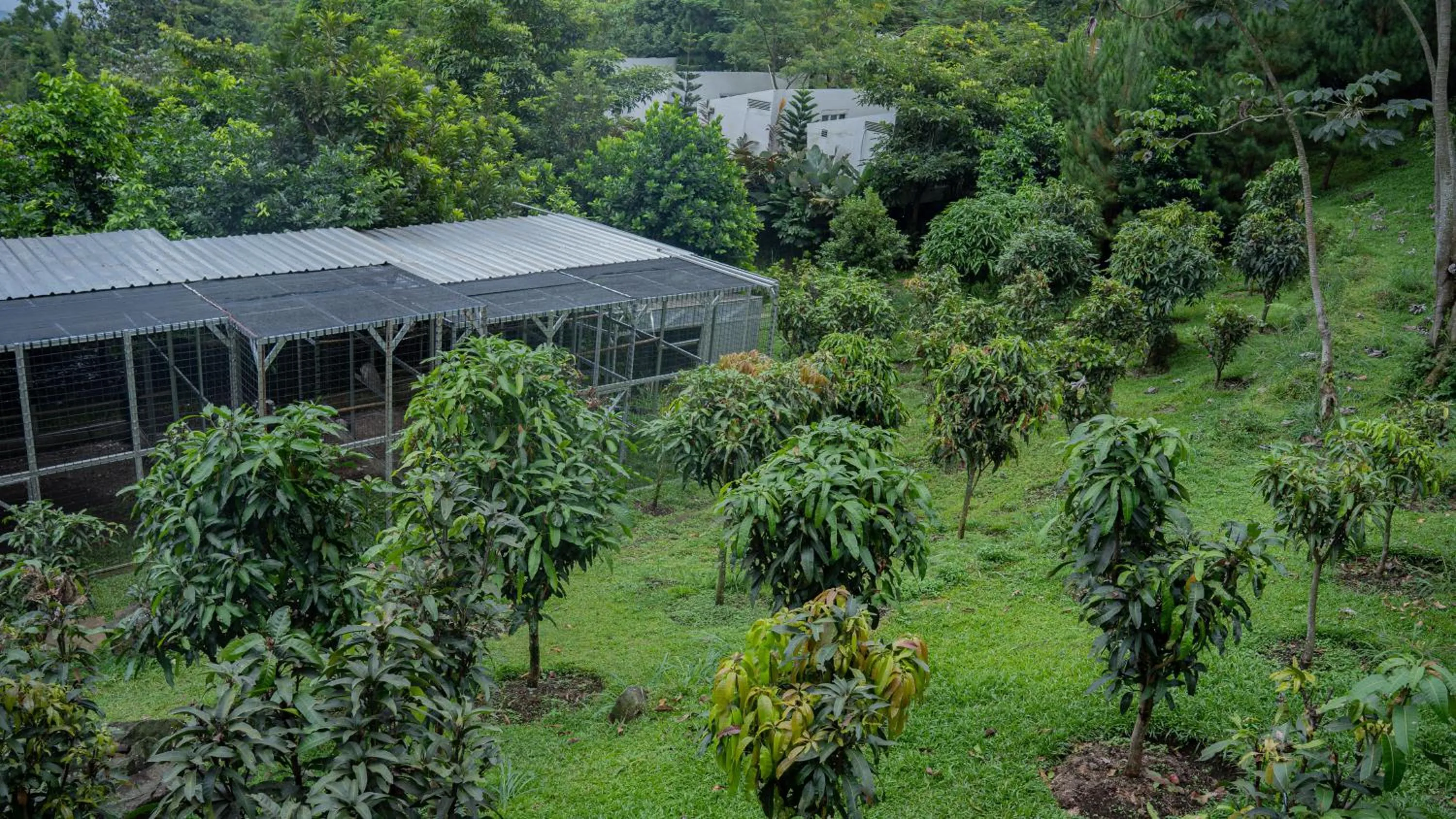 Spring in Leuweung Geledegan Ecoldge