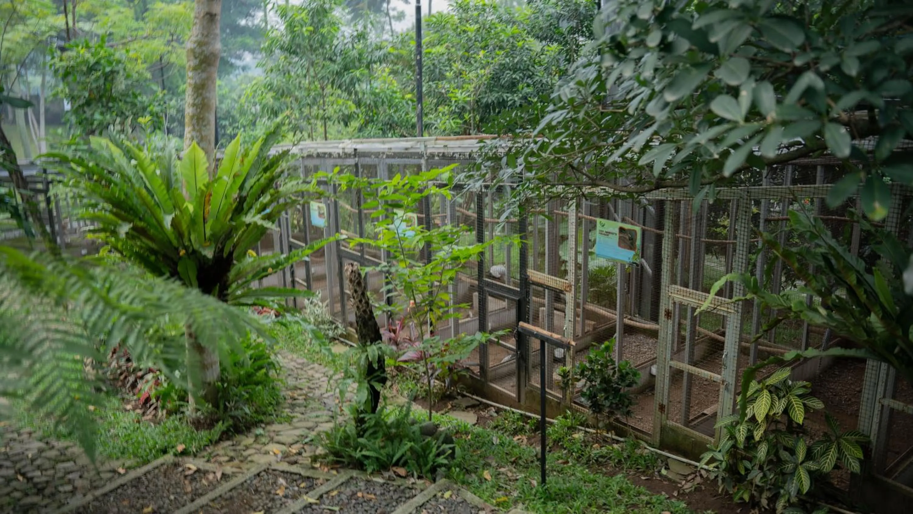 Spring in Leuweung Geledegan Ecoldge