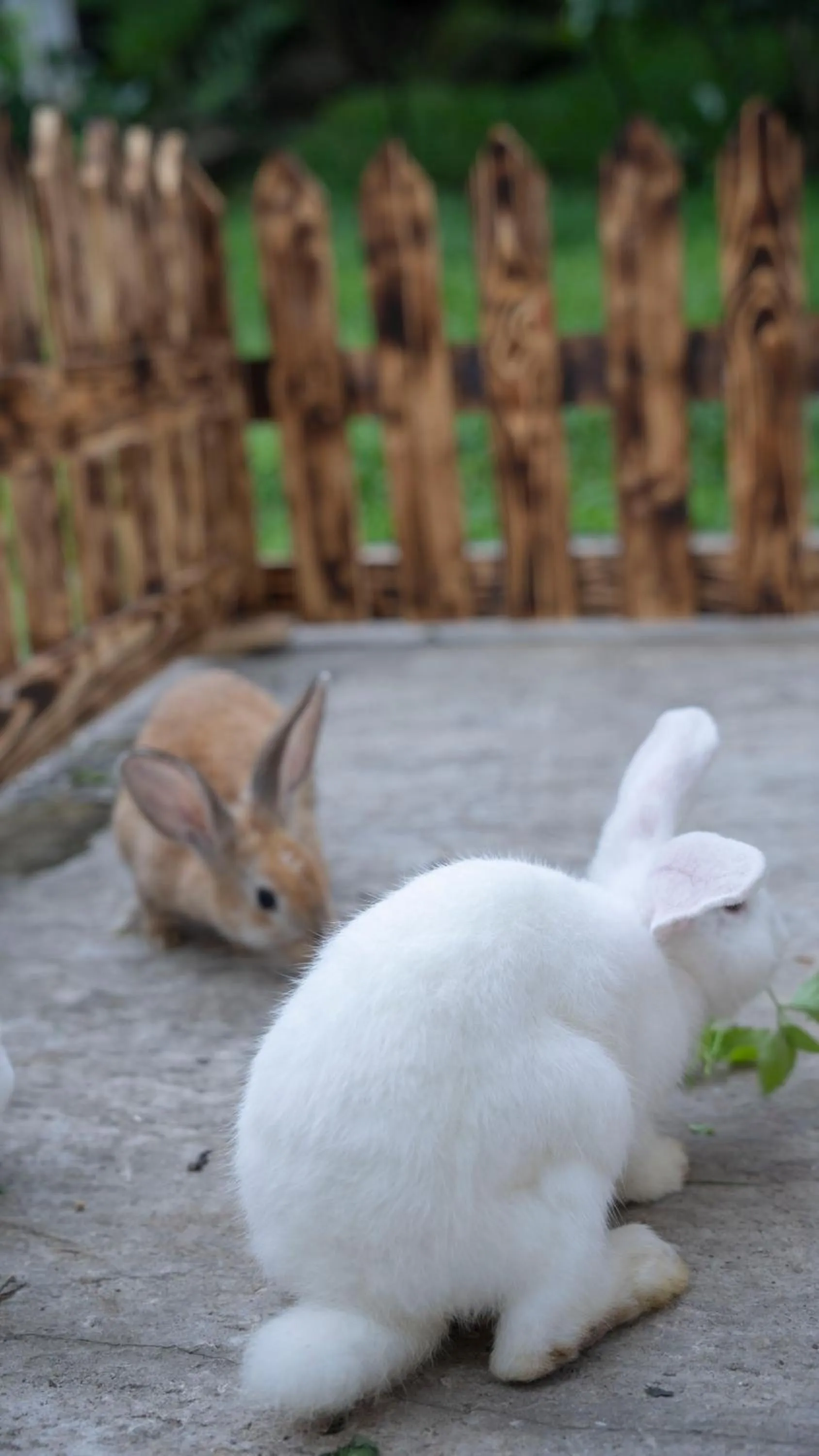 Activities in Leuweung Geledegan Ecoldge