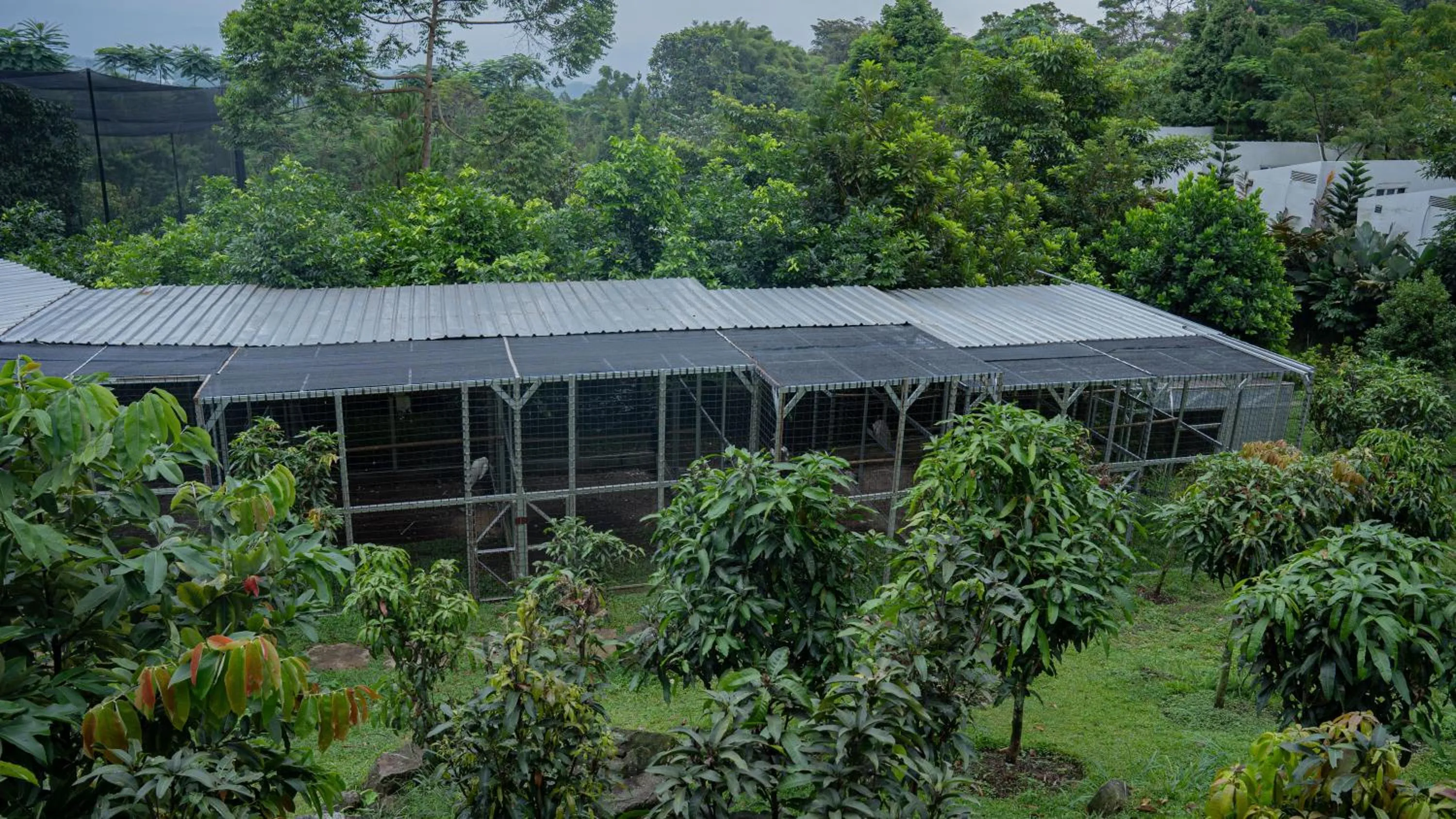 Spring in Leuweung Geledegan Ecoldge