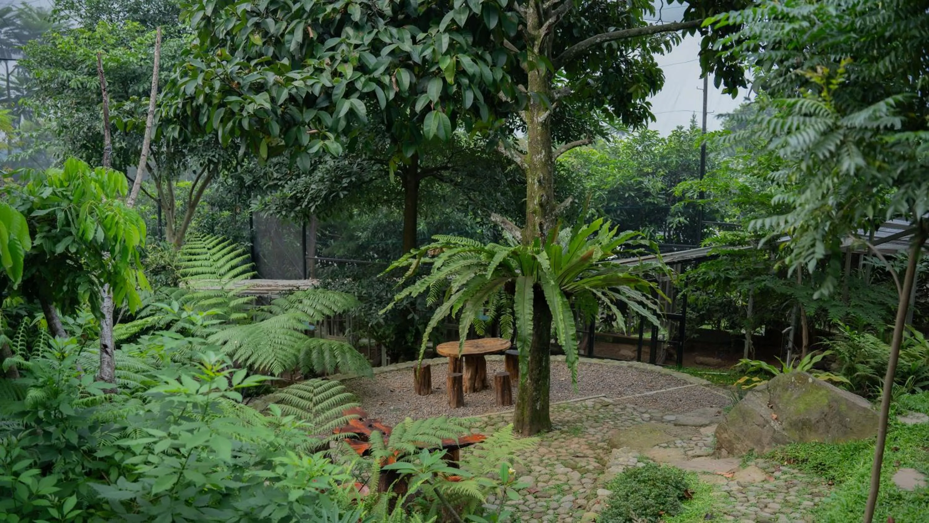 Spring in Leuweung Geledegan Ecoldge