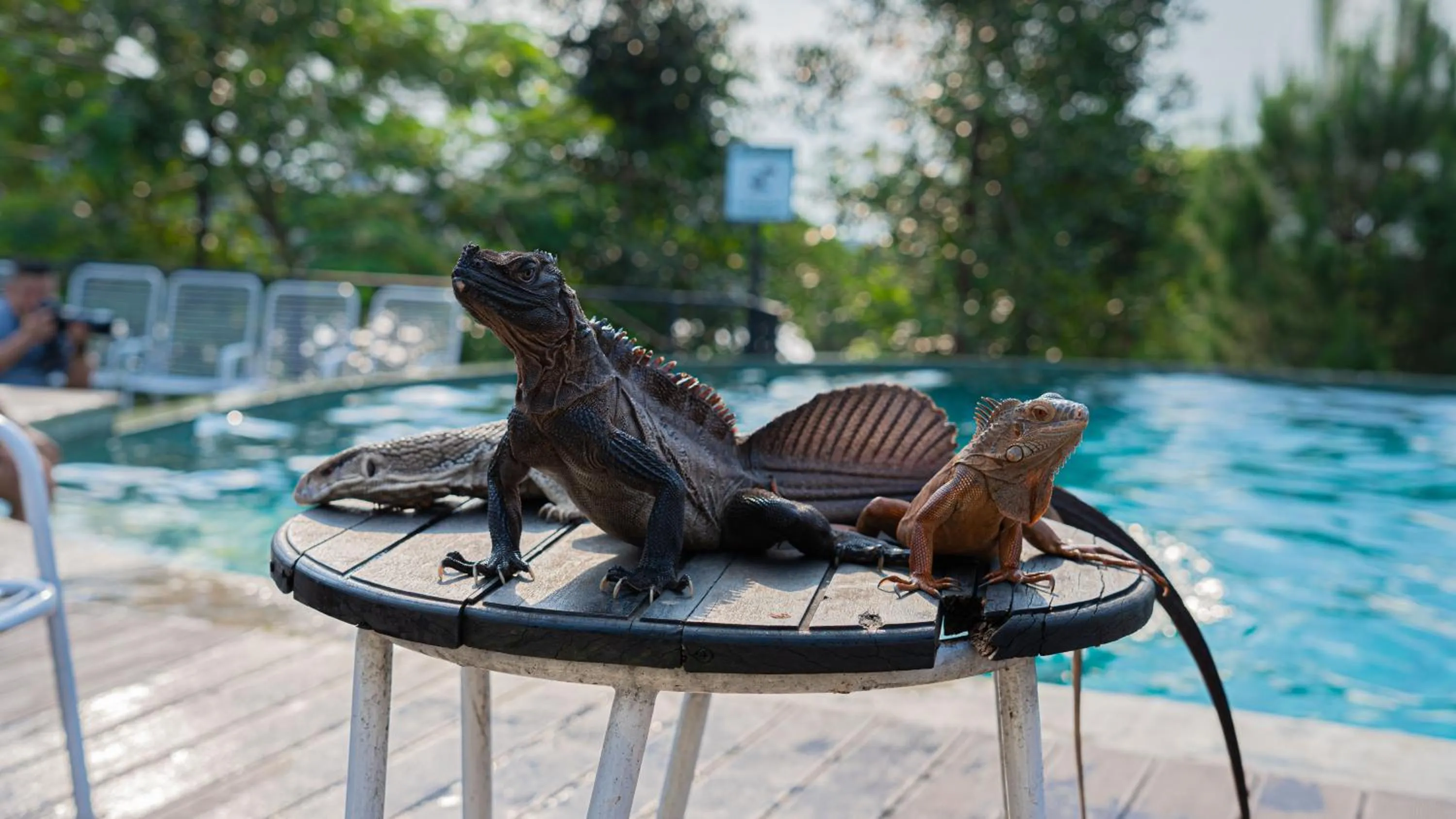 Day in Leuweung Geledegan Ecoldge