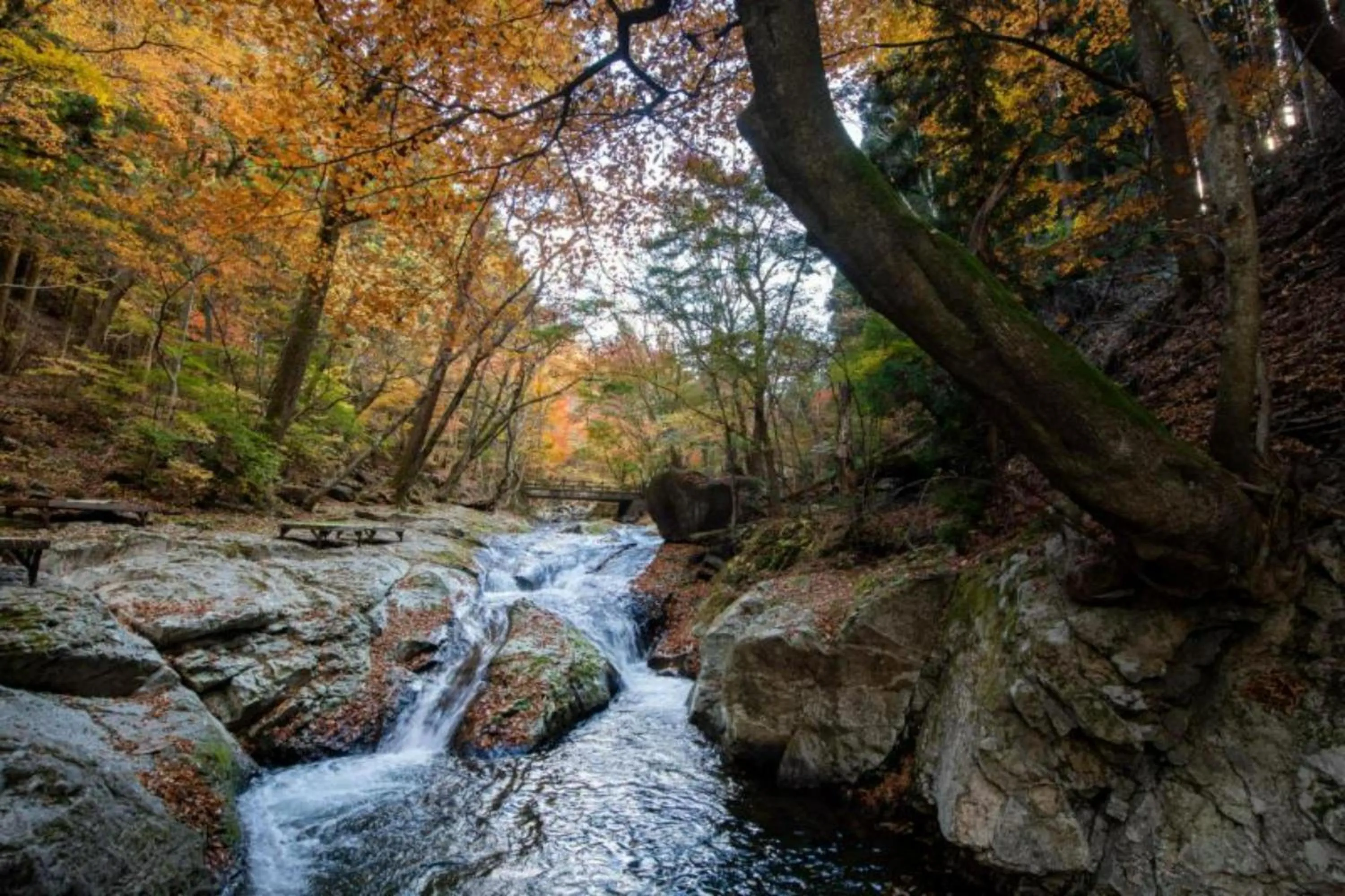 Nearby landmark in Shionoyu Onsen Rengetsu