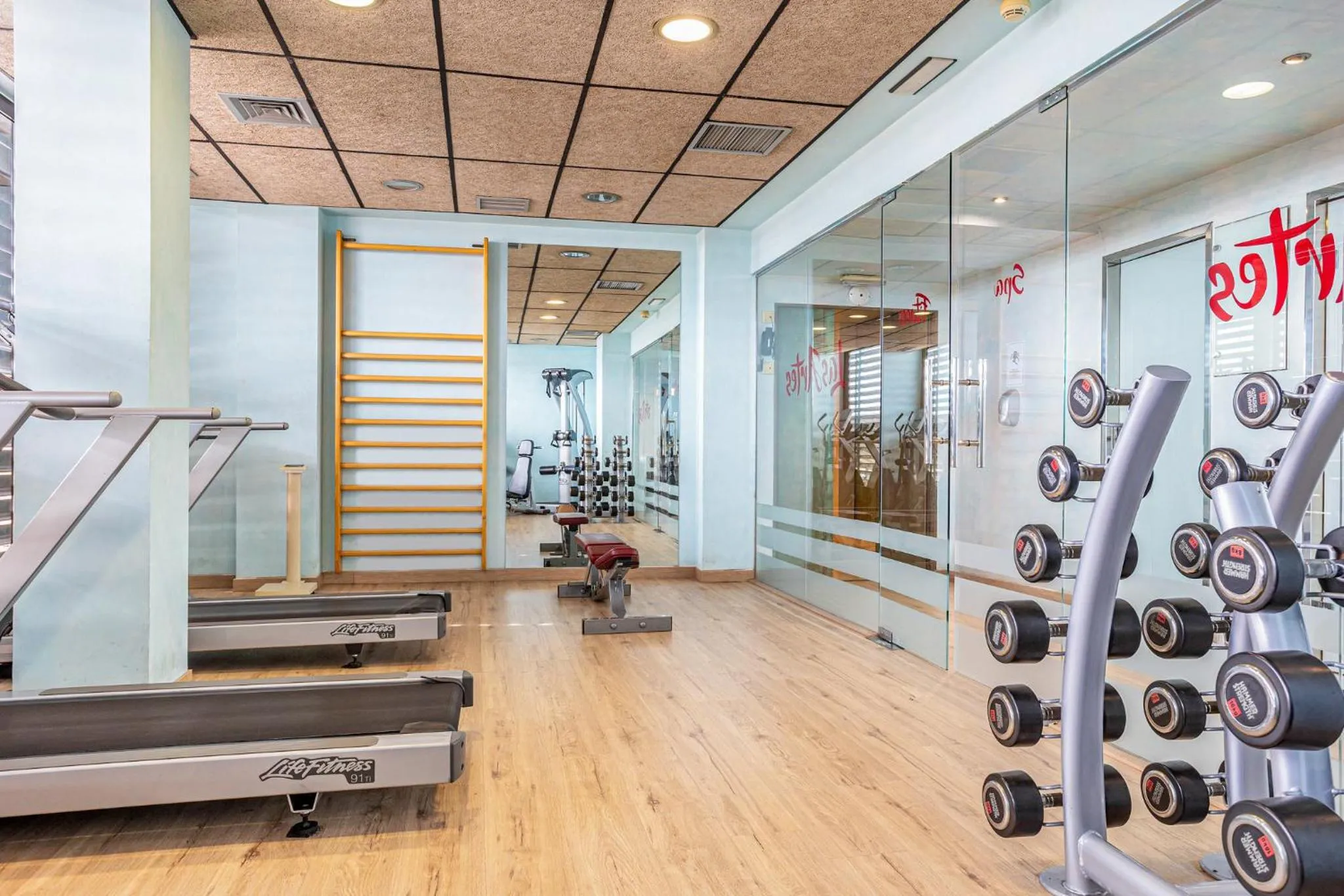 Fitness centre/facilities in Sercotel Las Artes Pinto