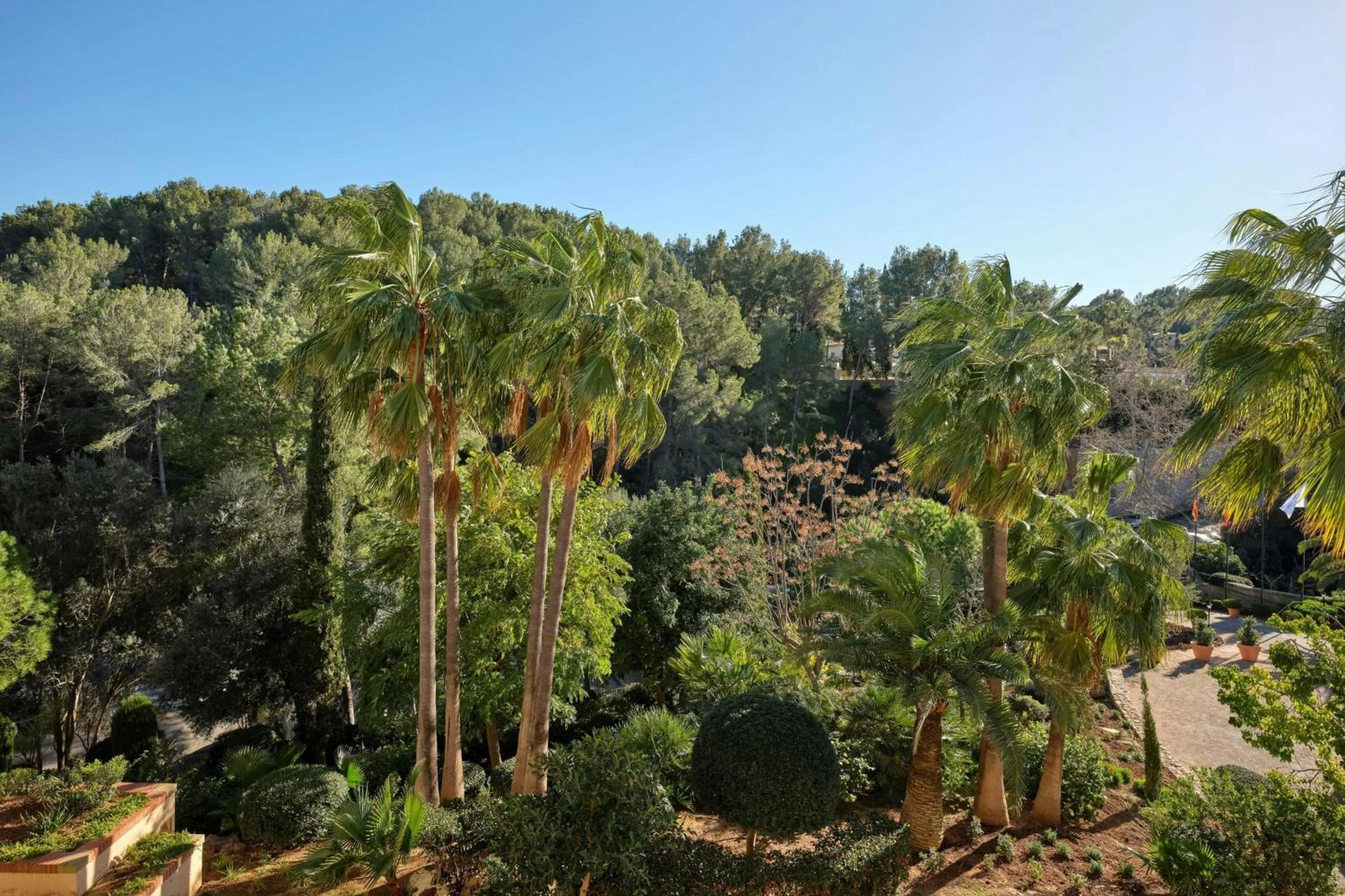 Photo of the whole room in Sheraton Mallorca Arabella Golf Hotel