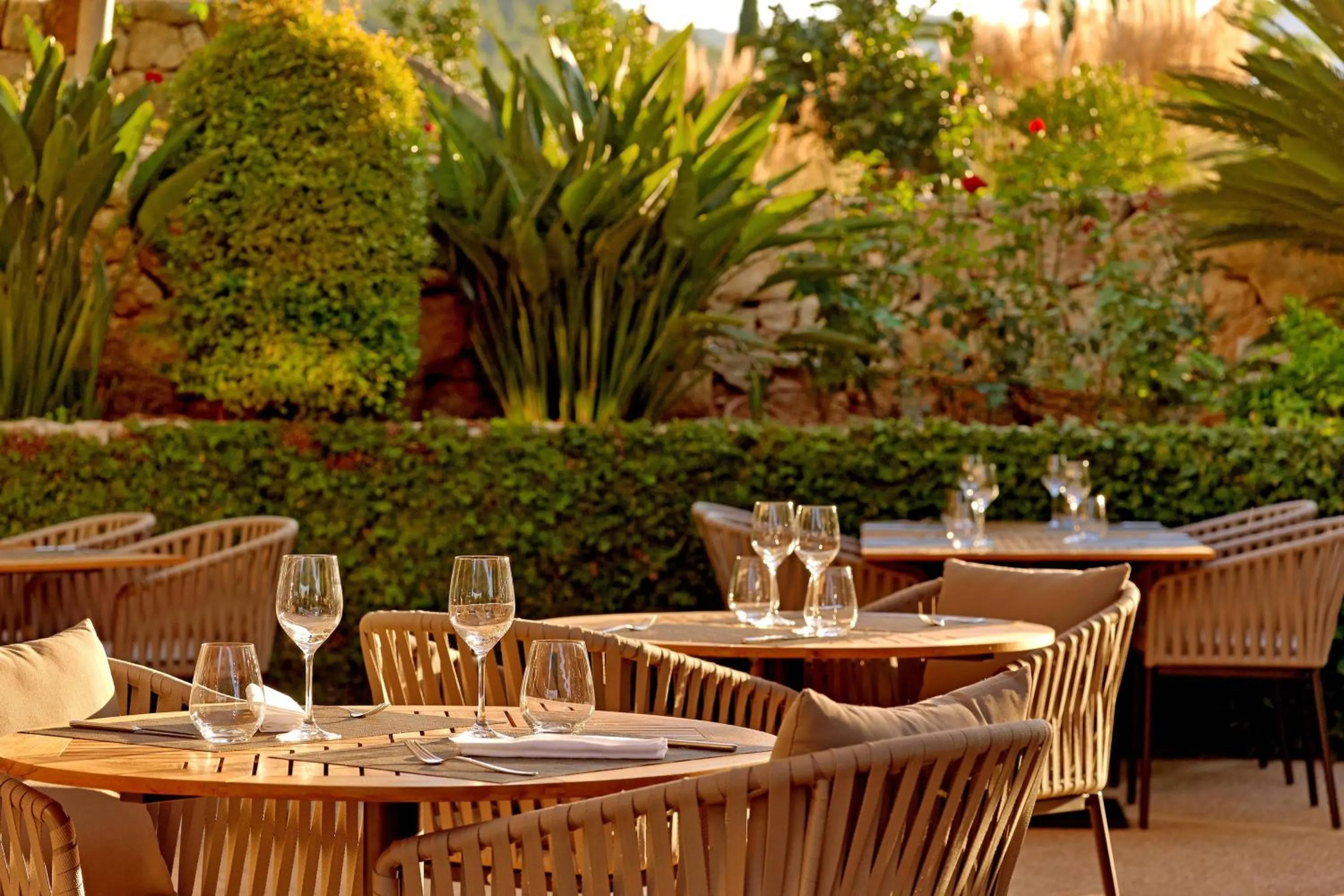 Restaurant/places to eat in Sheraton Mallorca Arabella Golf Hotel