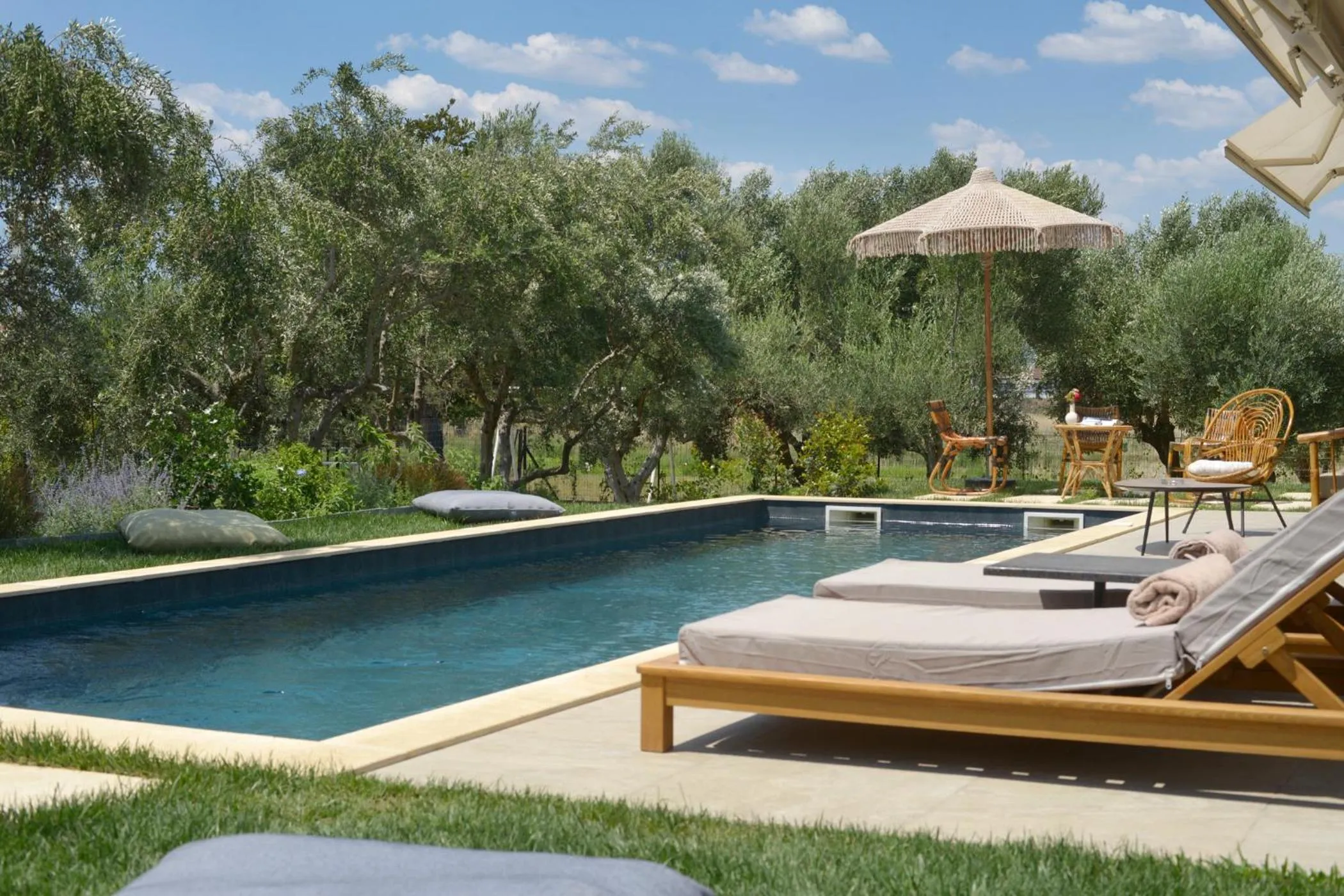 Swimming pool in Elaia Grove