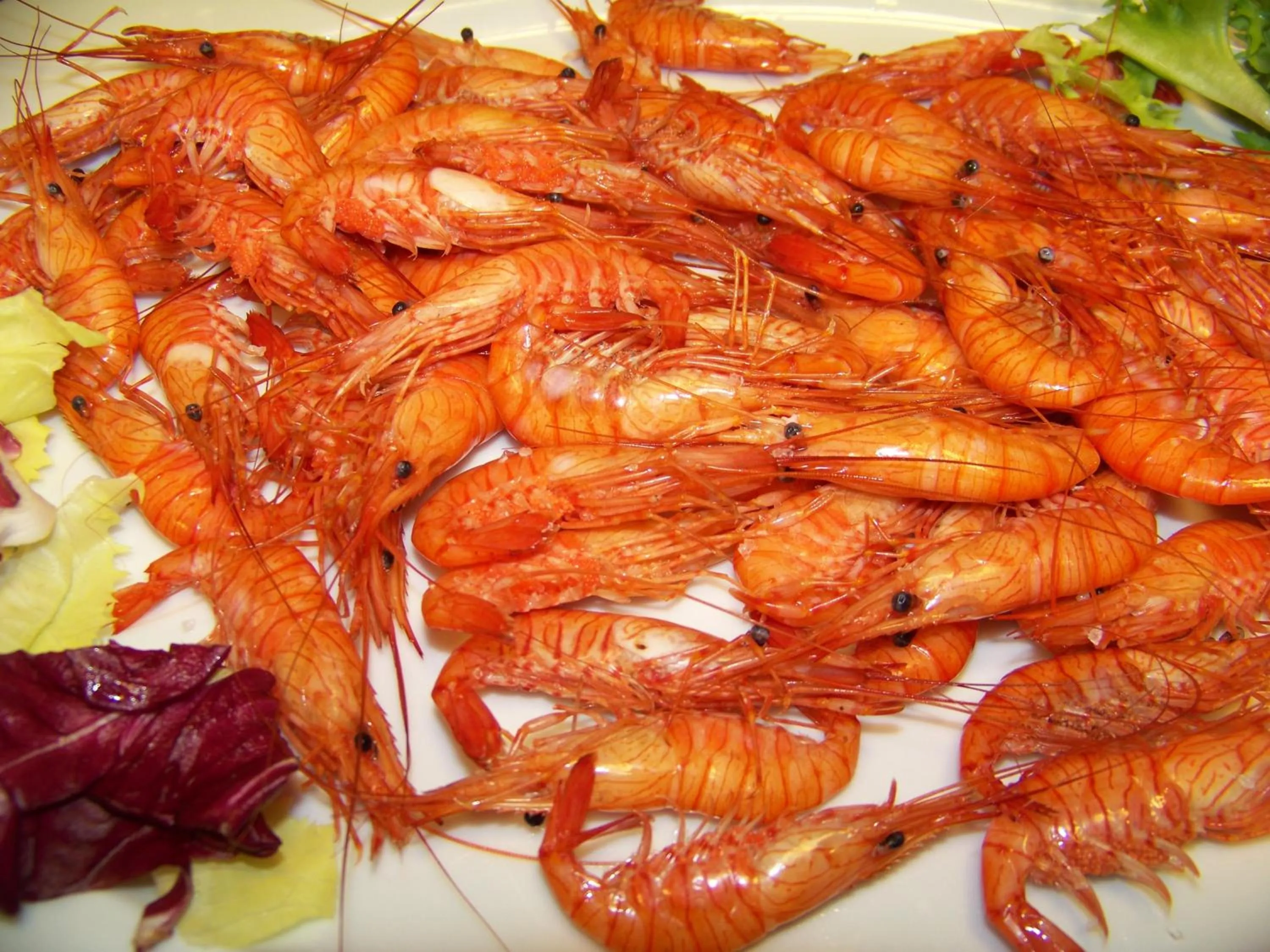 Restaurant/places to eat in Hotel Varadoiro