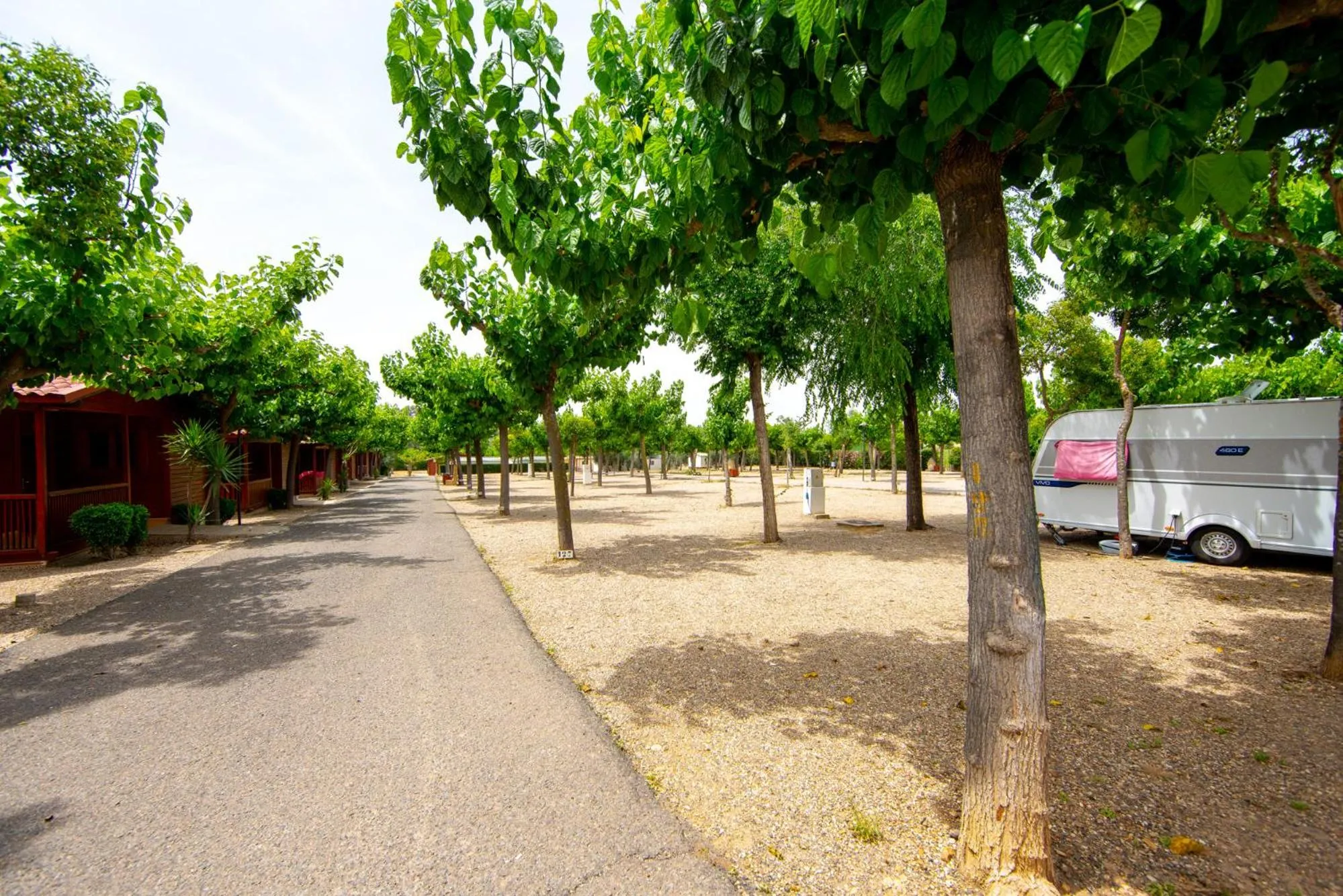 Natural landscape in Camping Carlos III