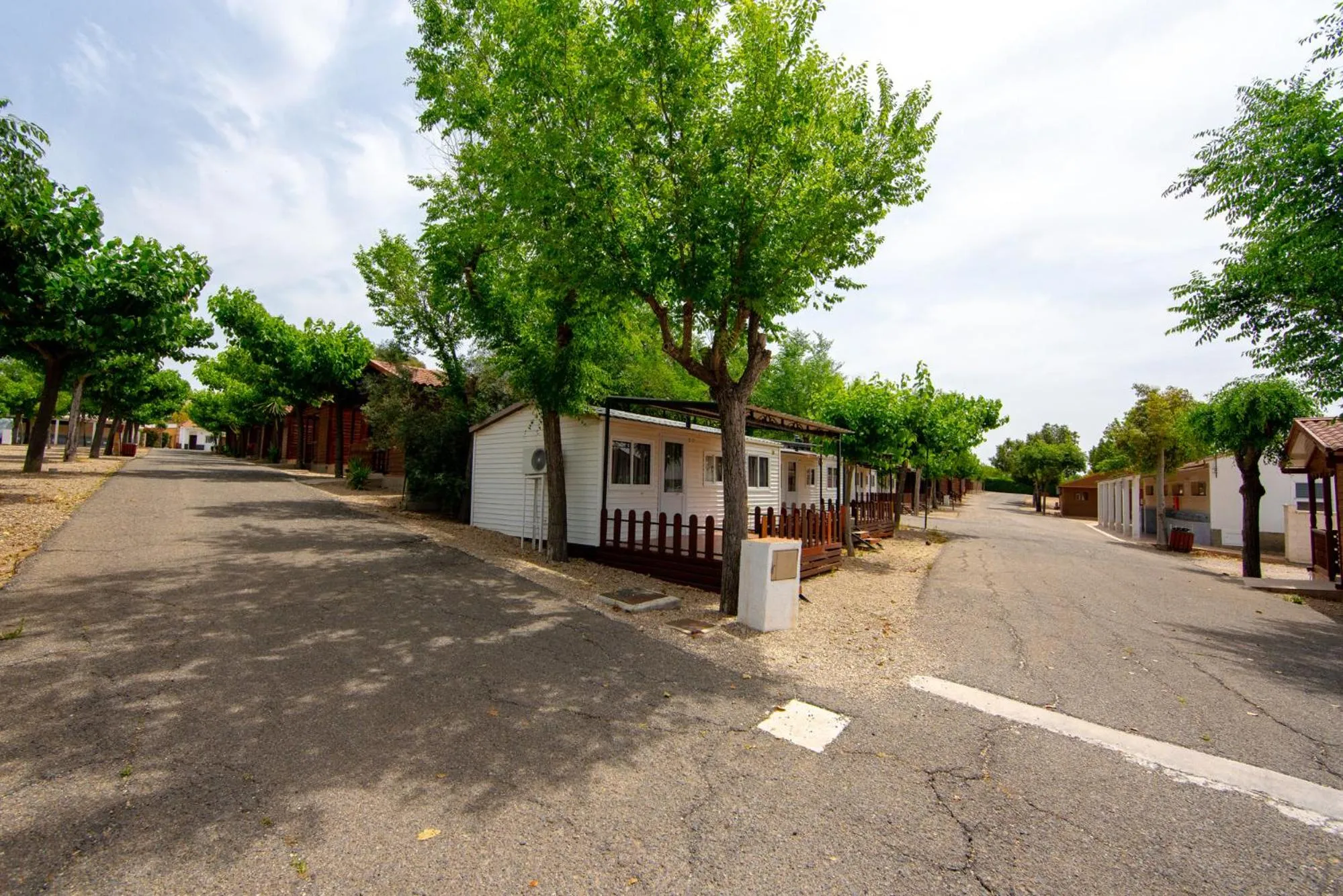 Natural landscape in Camping Carlos III