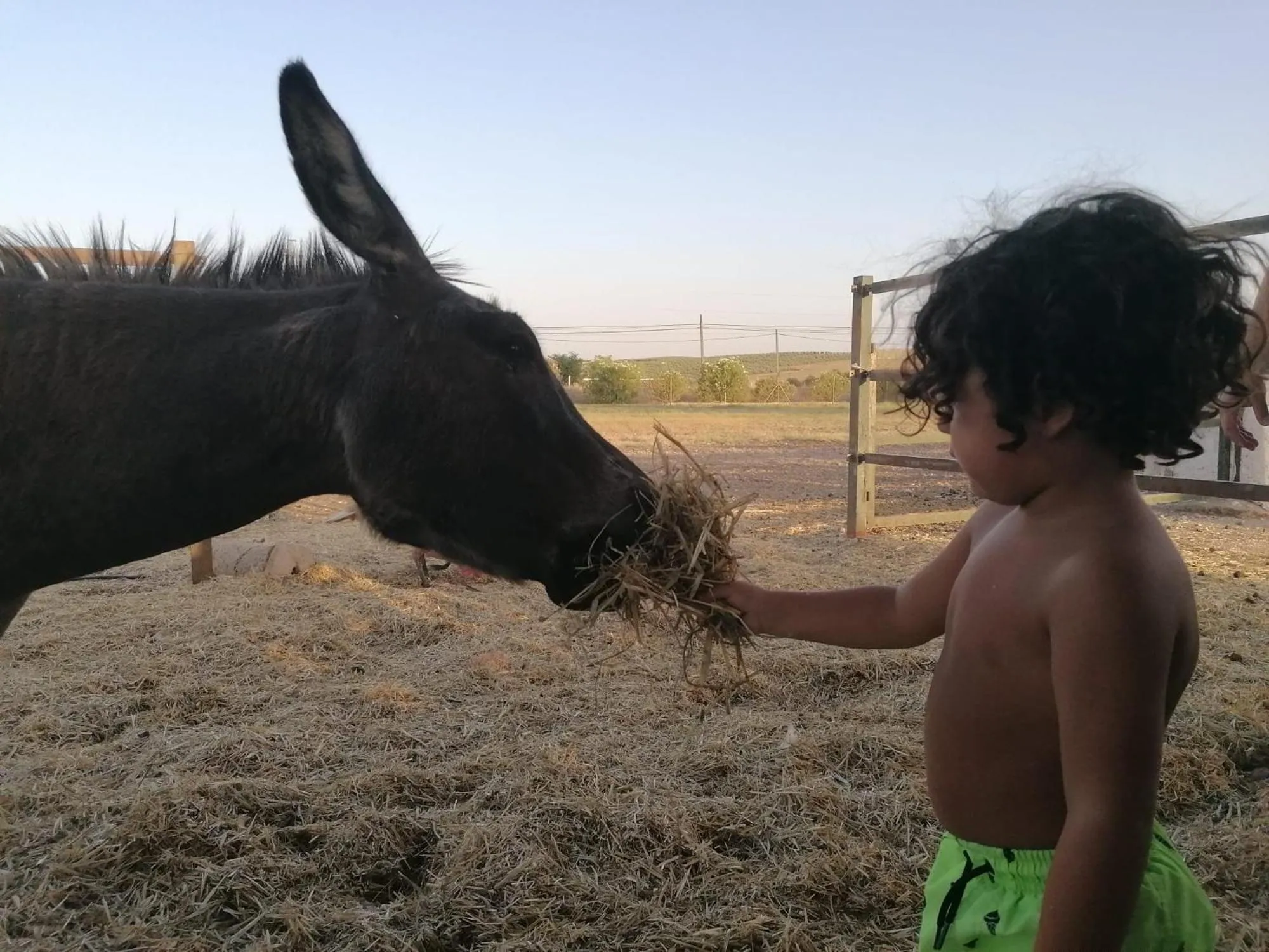 People in Camping Carlos III