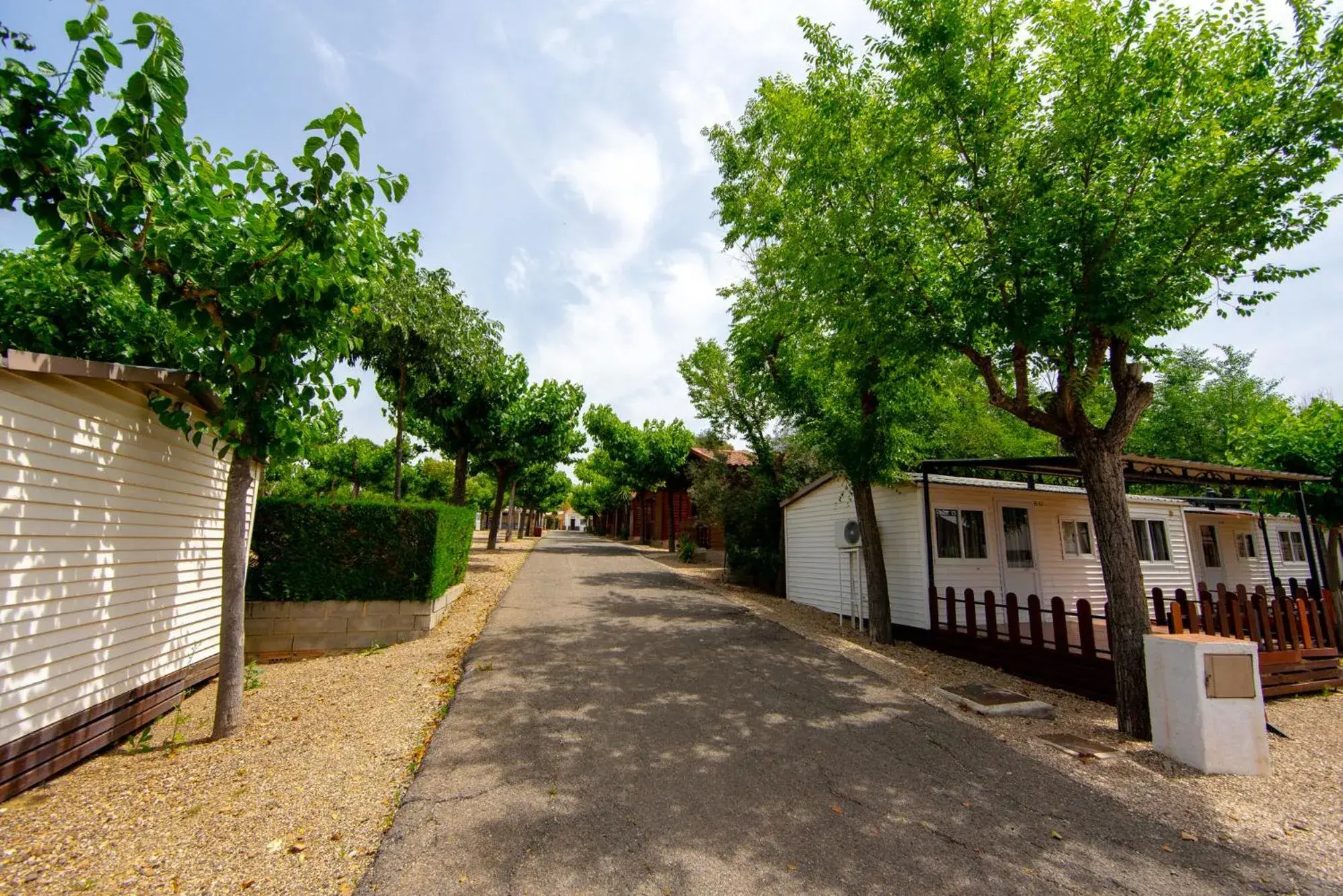 Street view in Camping Carlos III Street view in Camping Carlos III