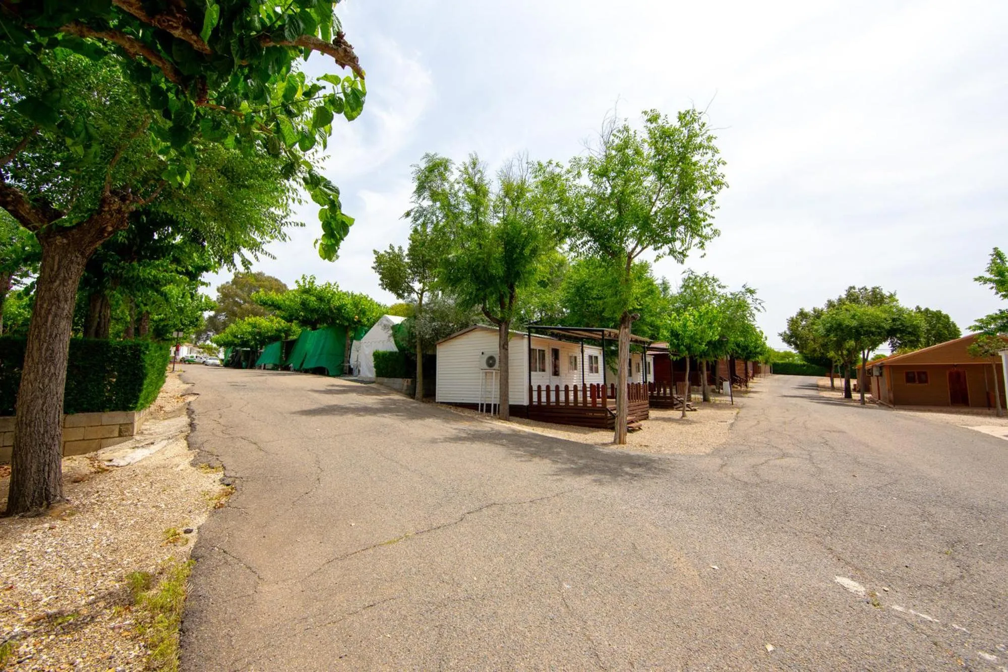 Property building in Camping Carlos III