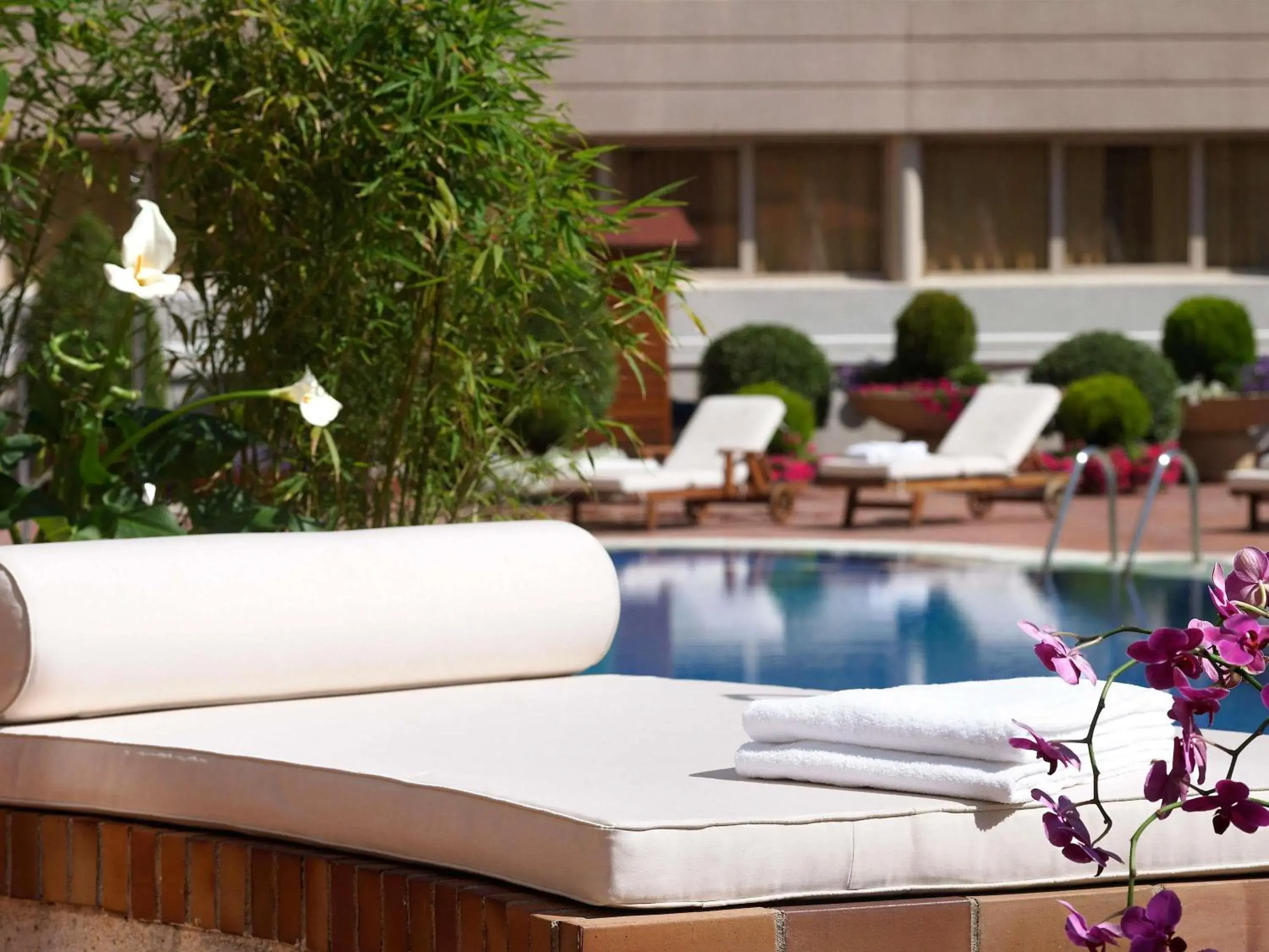 Pool view in Pullman Madrid Airport & Feria Pool view in Pullman Madrid Airport & Feria