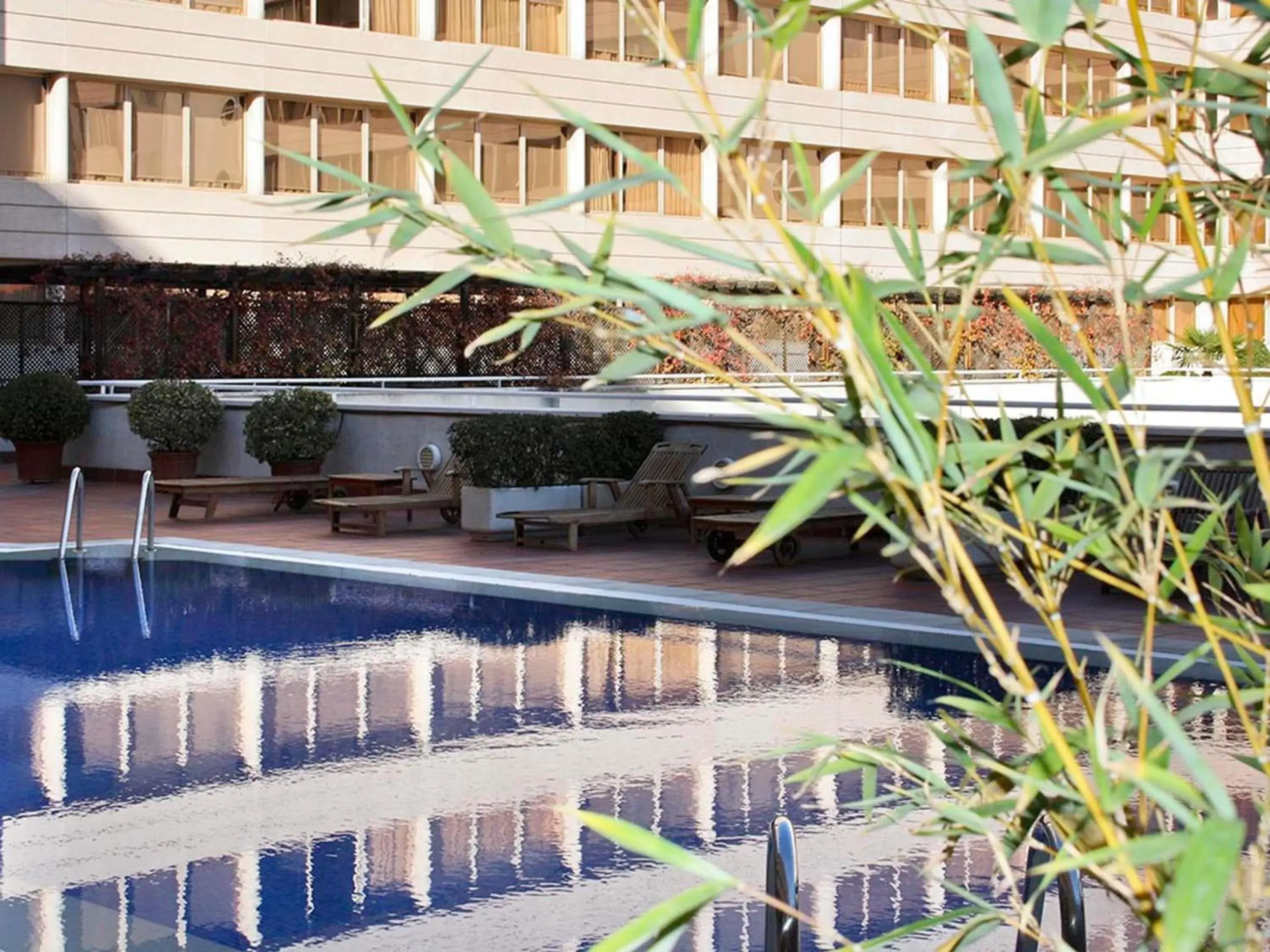 Pool view in Pullman Madrid Airport & Feria Pool view in Pullman Madrid Airport & Feria