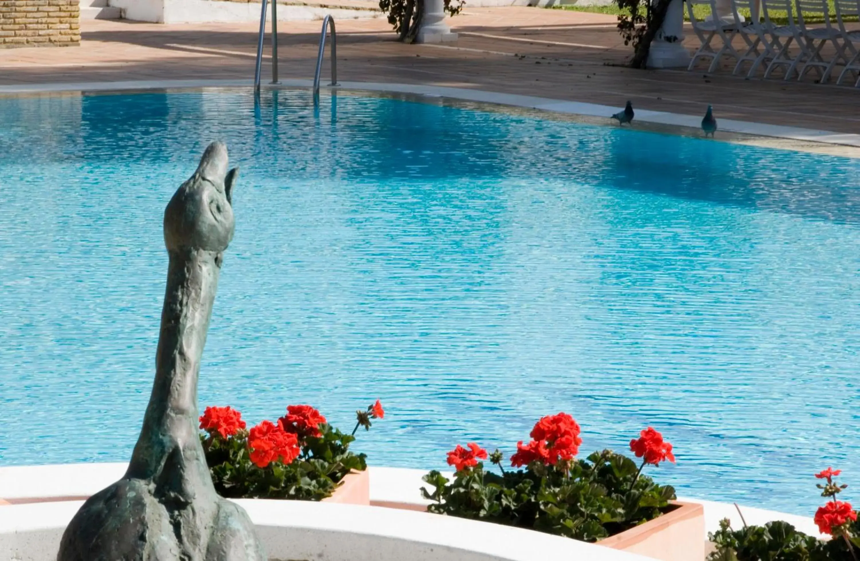 Swimming pool in Hotel Jerez & Spa Swimming pool in Hotel Jerez & Spa