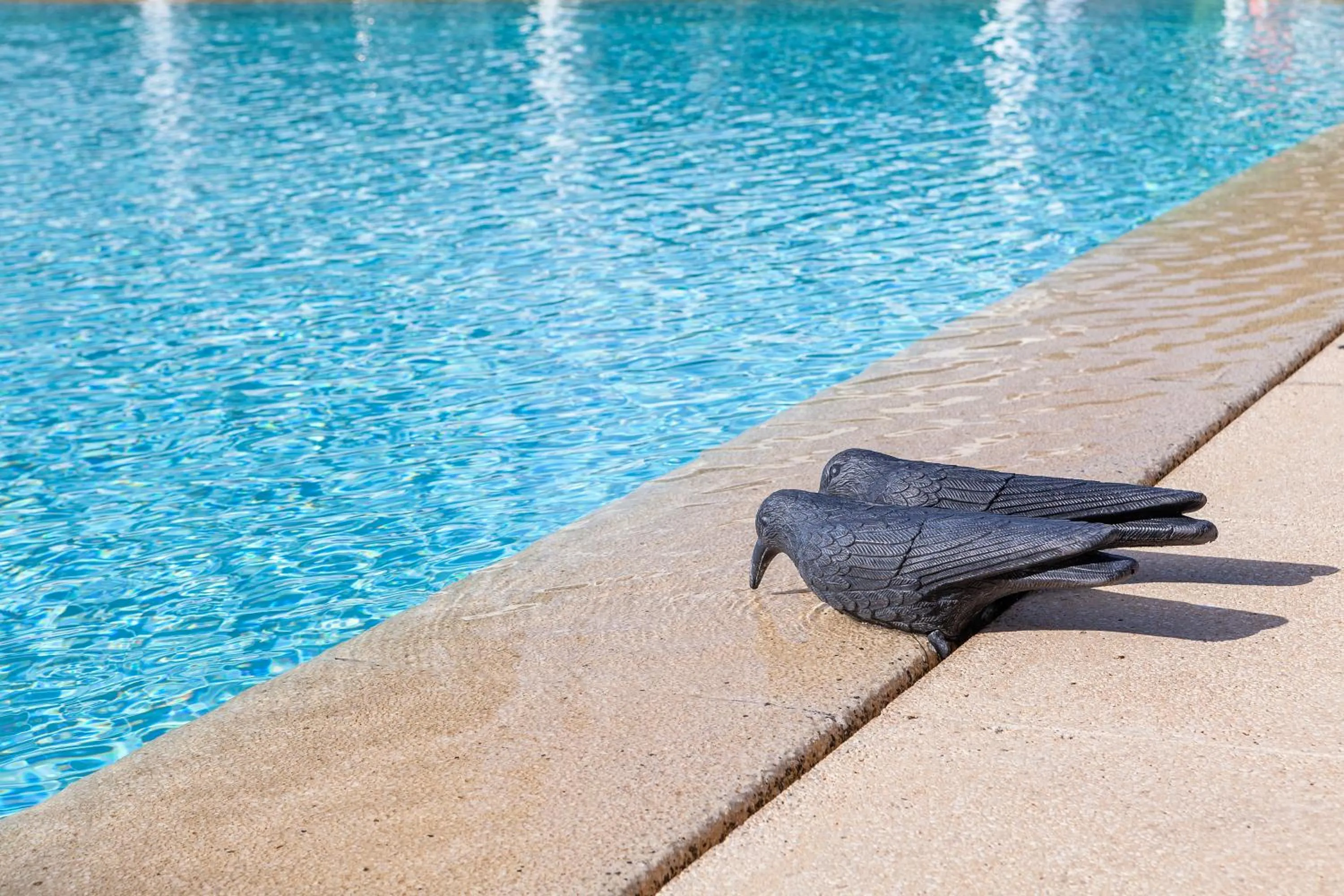 Swimming pool in Hotel Jerez & Spa