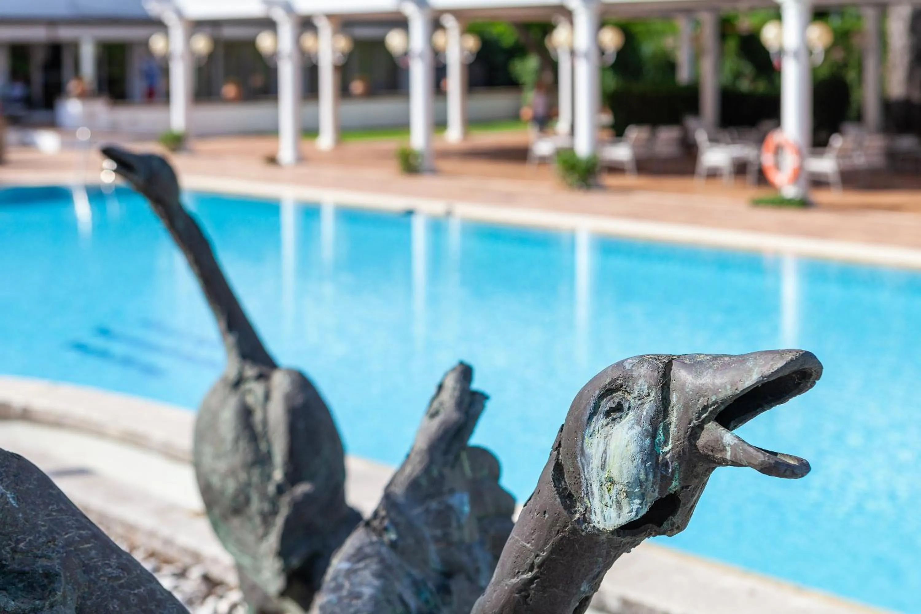 Swimming pool in Hotel Jerez & Spa