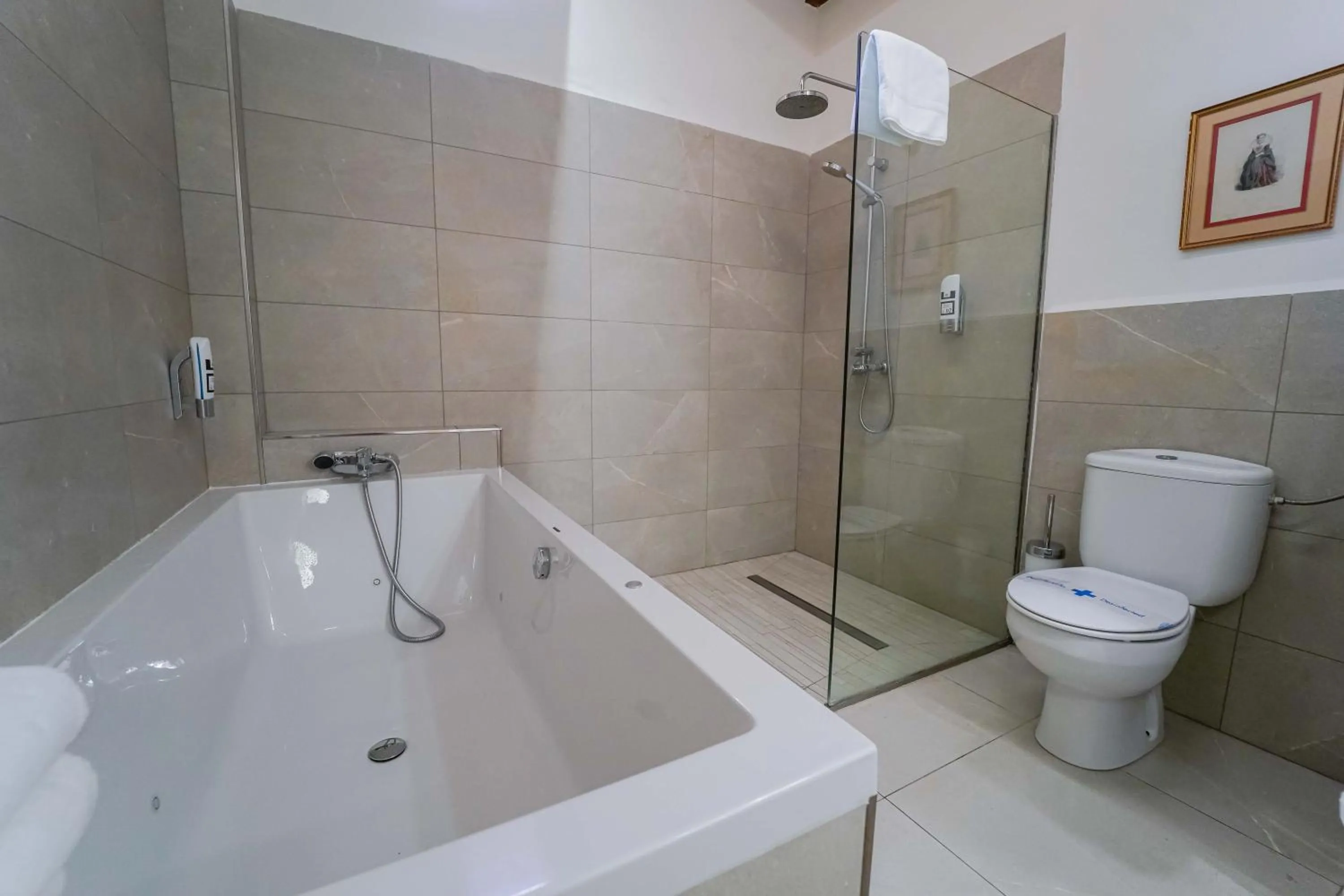 Shower in Hotel Rural S'Olivaret & Spa