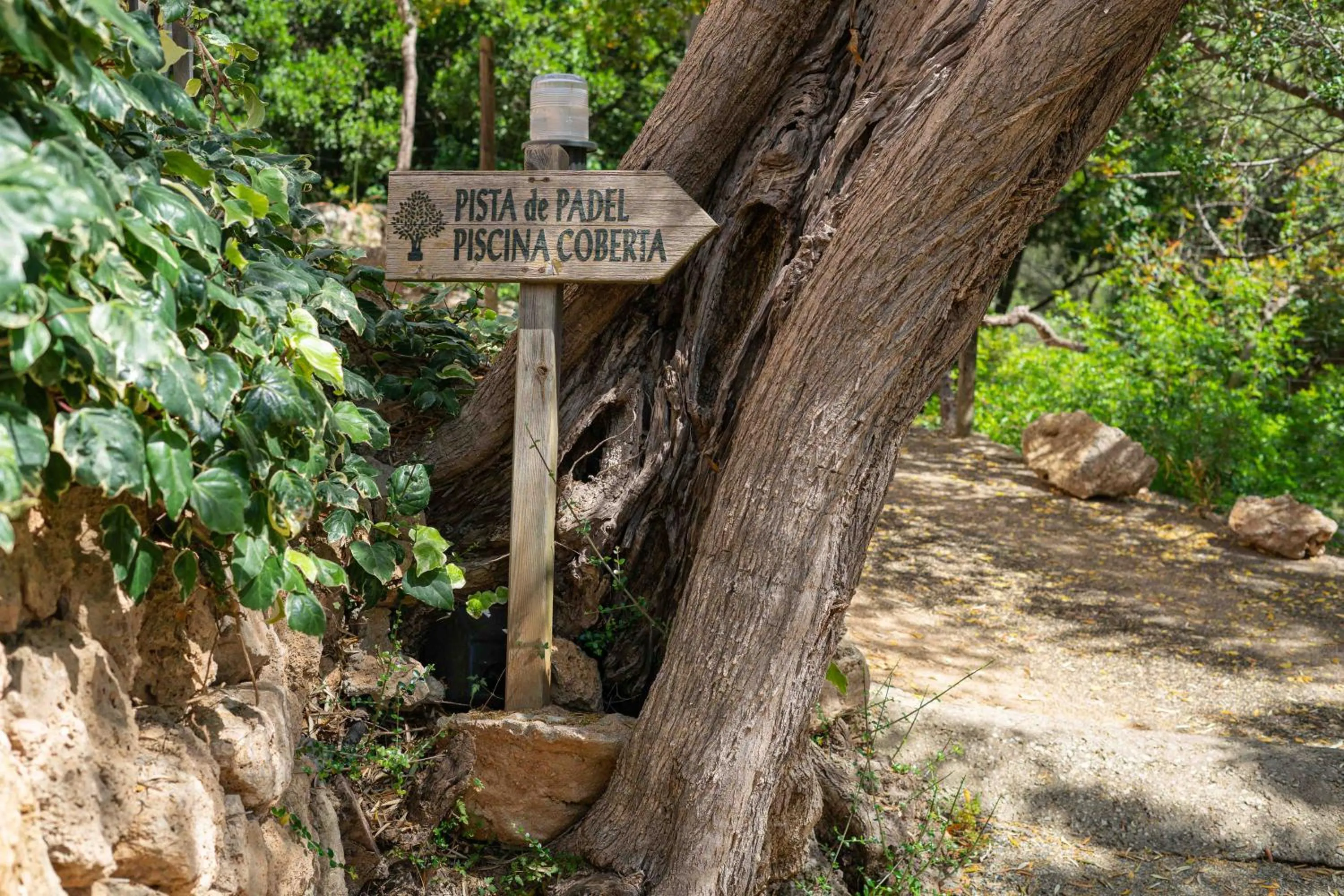 Natural landscape in Hotel Rural S'Olivaret & Spa