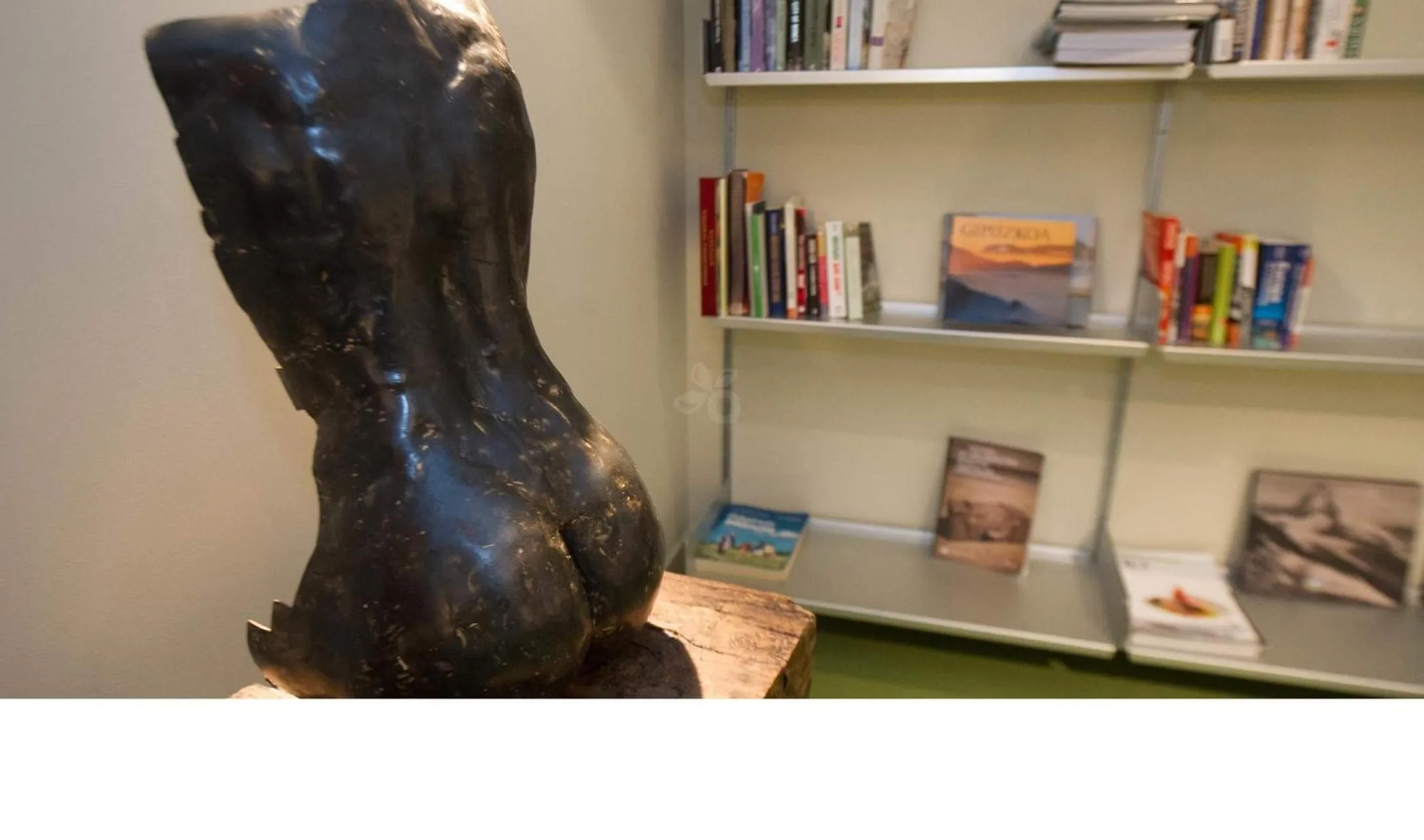 Library in Hotel Zaragoza Plaza