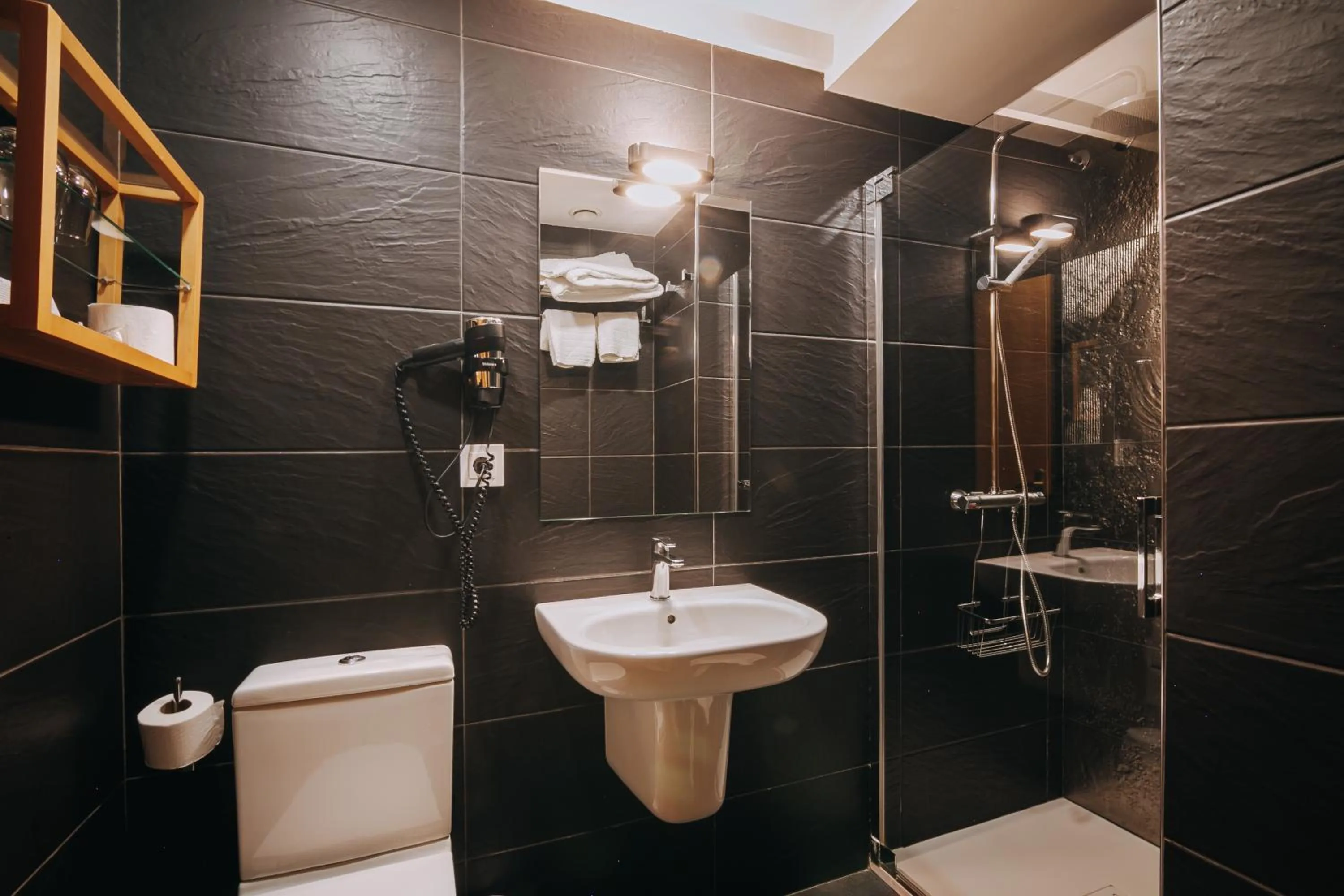 Toilet in Hotel Zaragoza Plaza