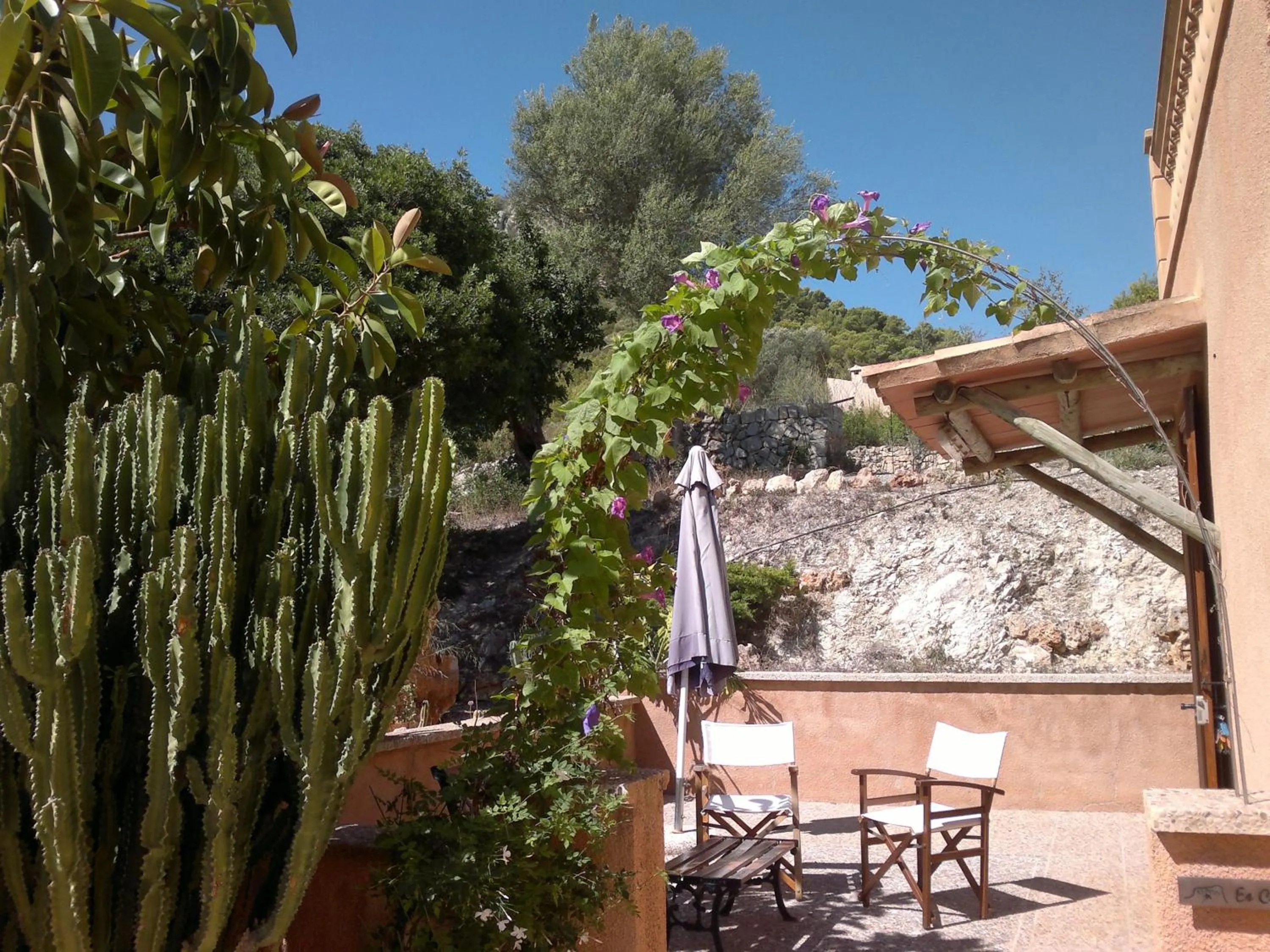 Garden in Agroturisme Es Picot