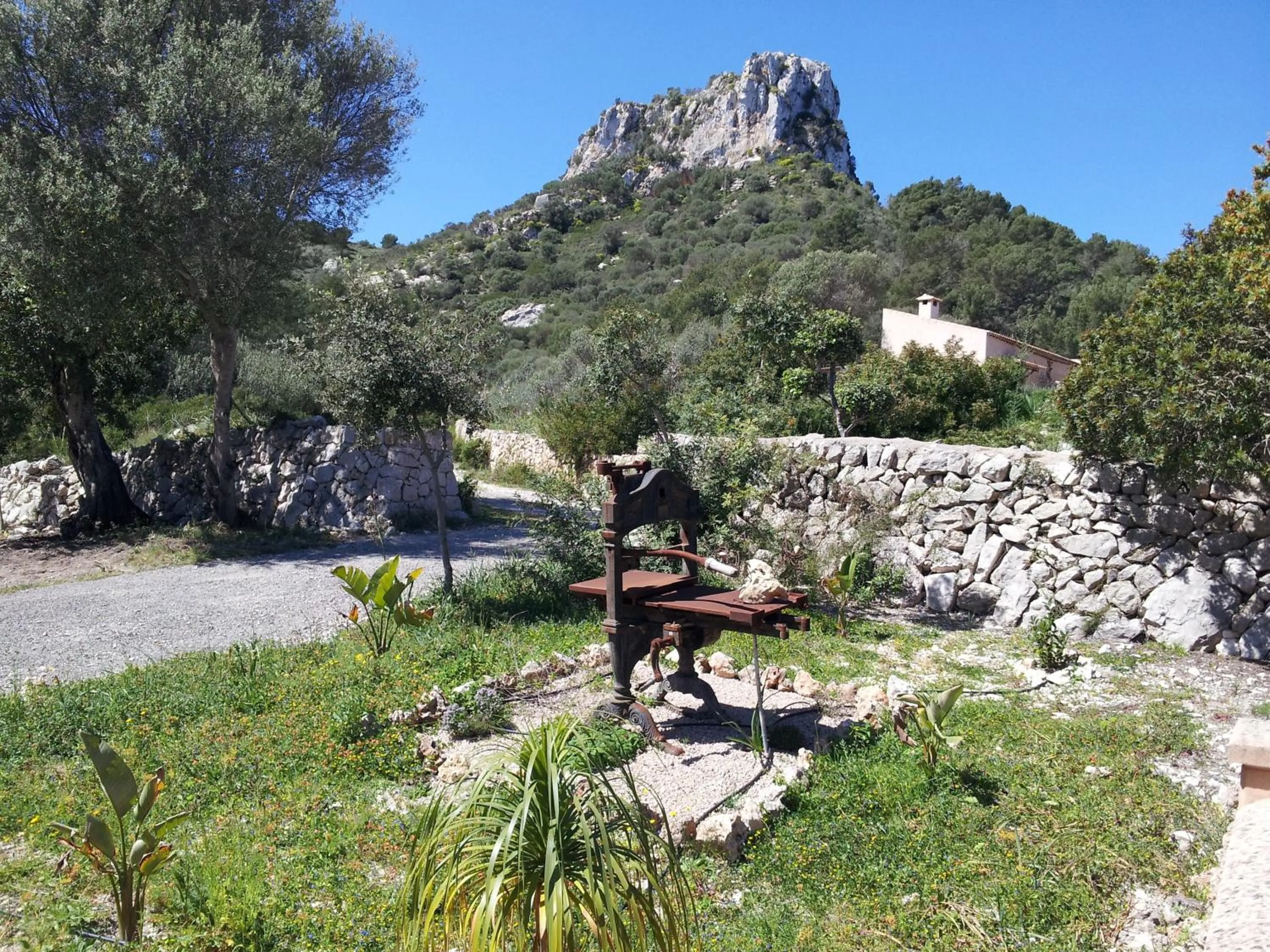 Garden in Agroturisme Es Picot