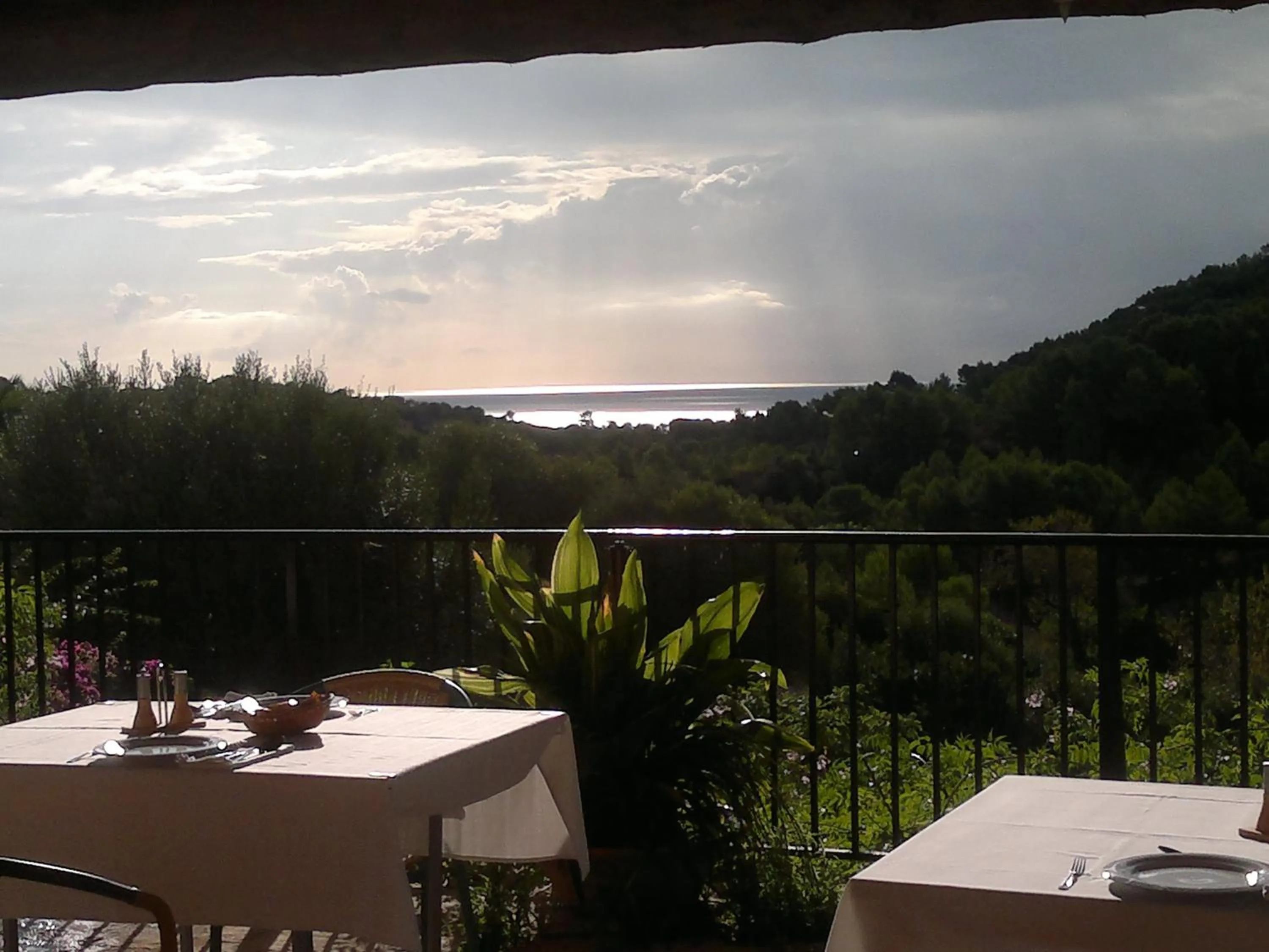 Restaurant/places to eat in Agroturisme Es Picot